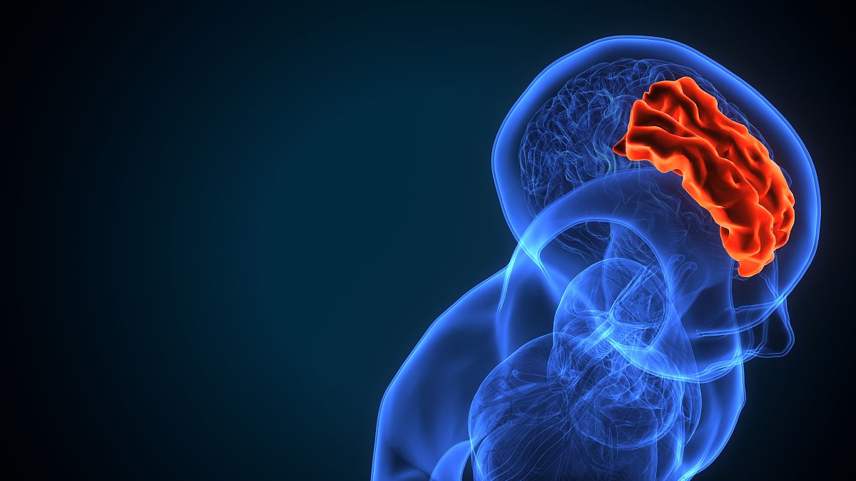 一个完整的世界观需要什么