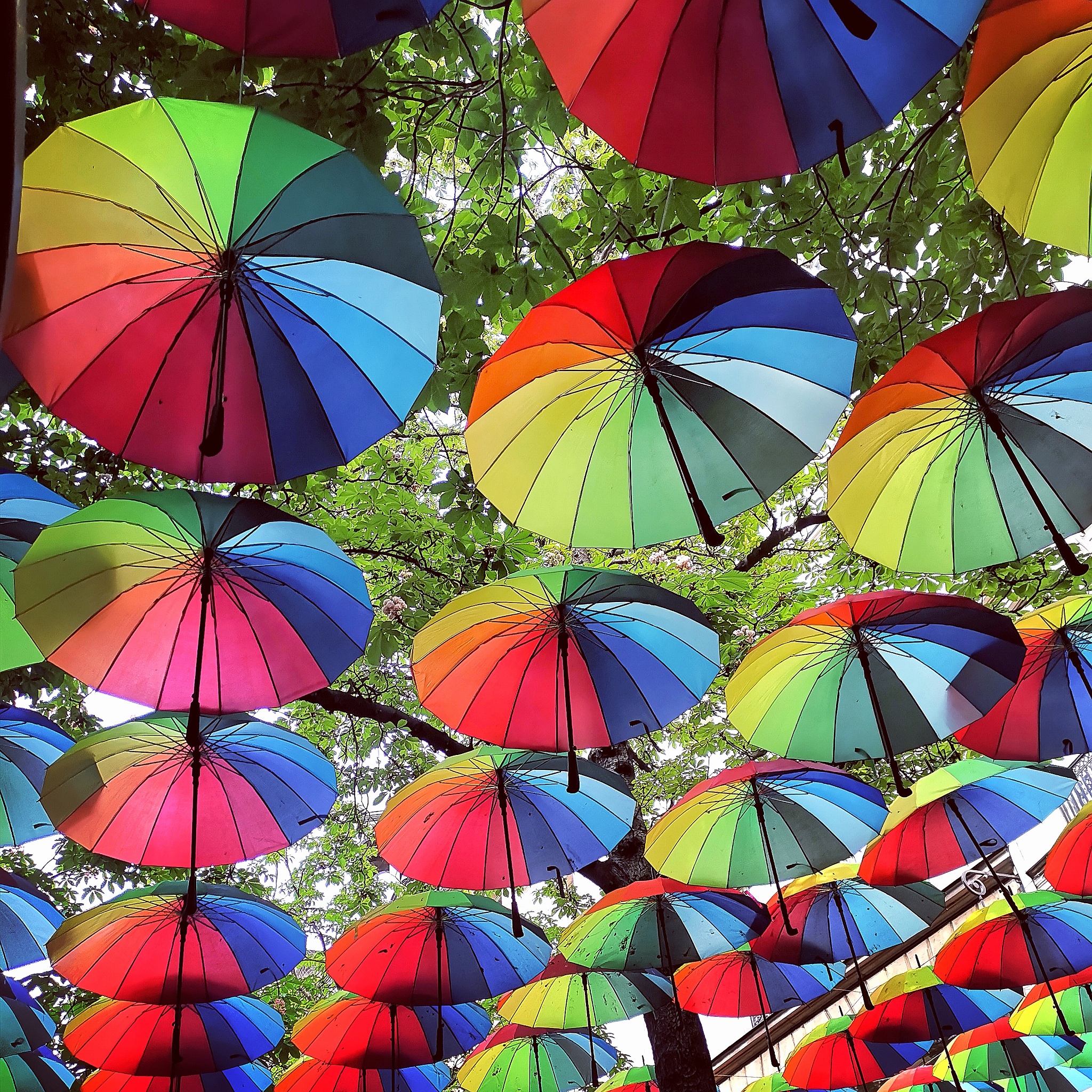low angle view of multi colored umbrellas hanging against trees