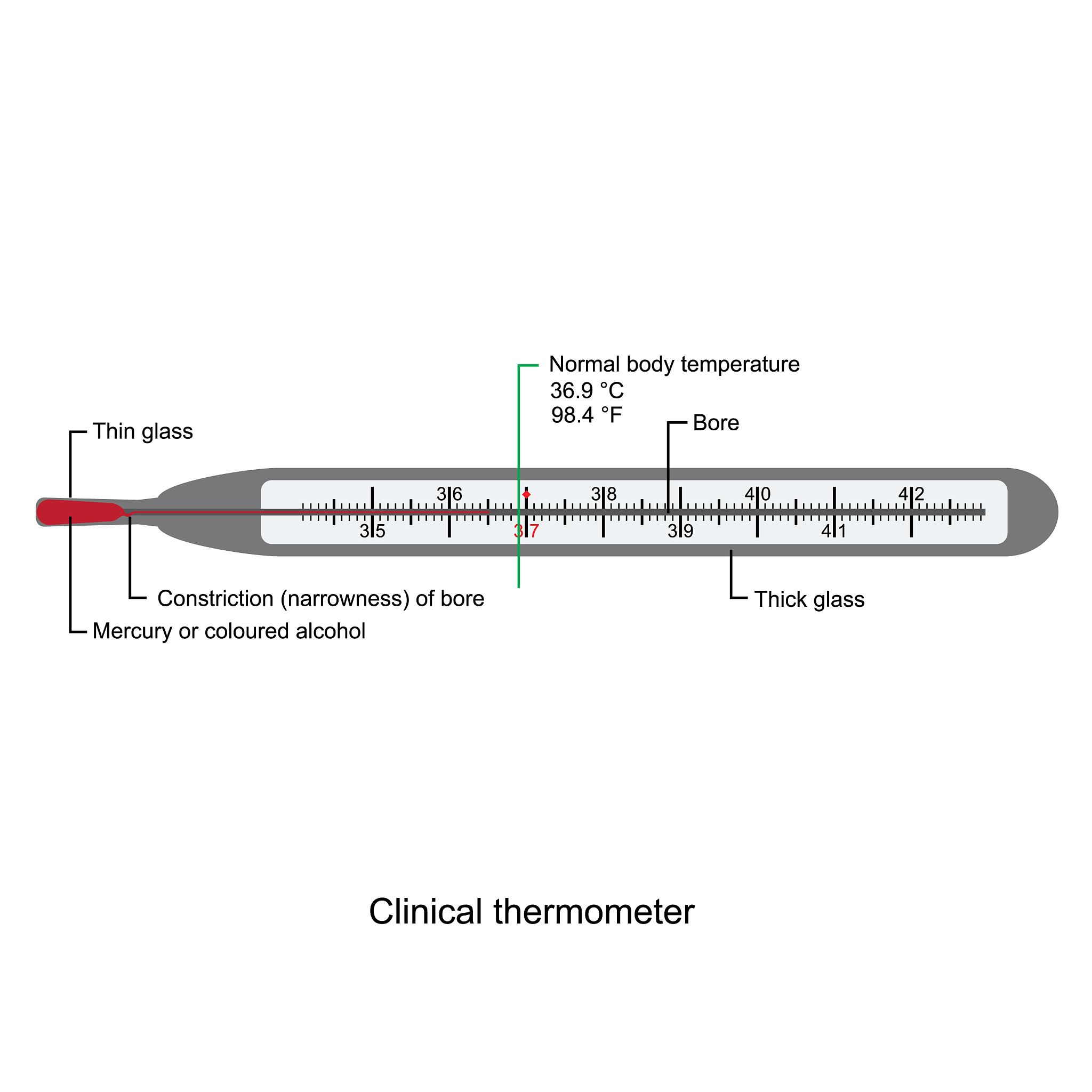 Chromel-Alumel翻译