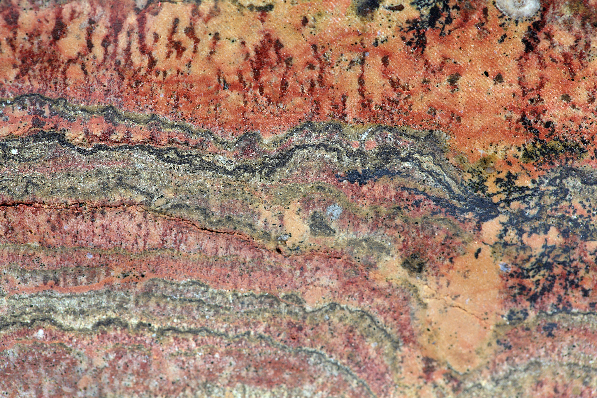 第四纪研究期刊 - 探索地球科学中的第四纪地质学和环境变化