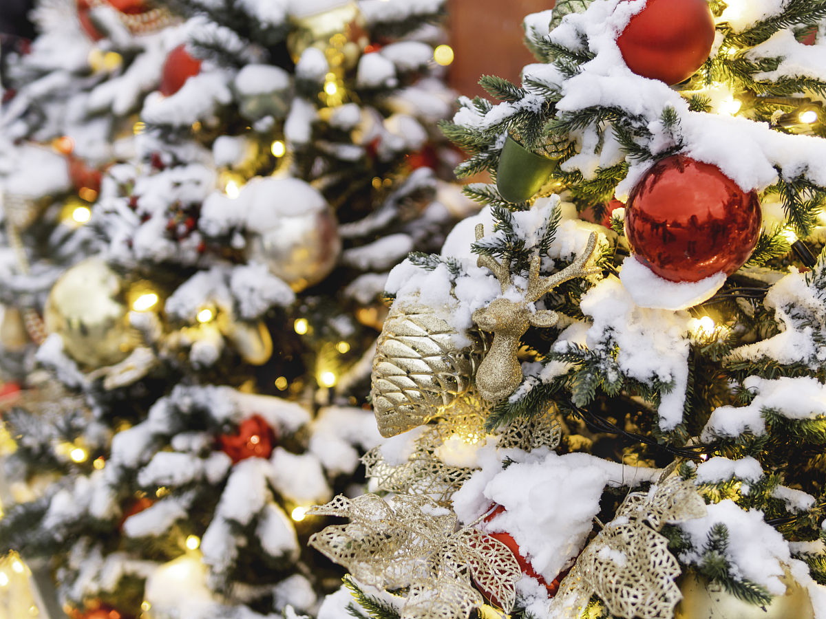 Sunnydaze Decor 联系方式 - 官方网站、电话、邮箱