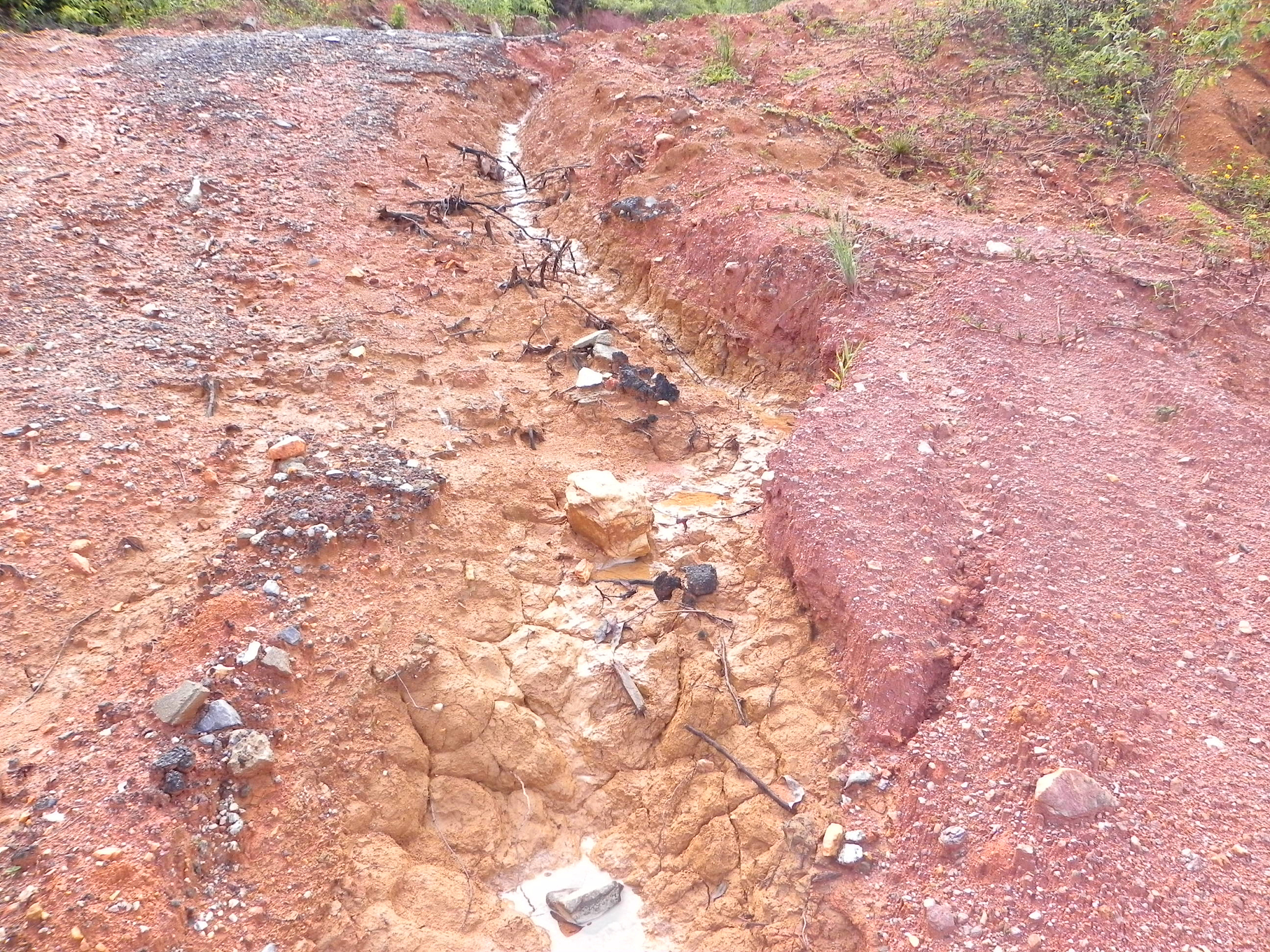 绥阳县土壤地球化学描述