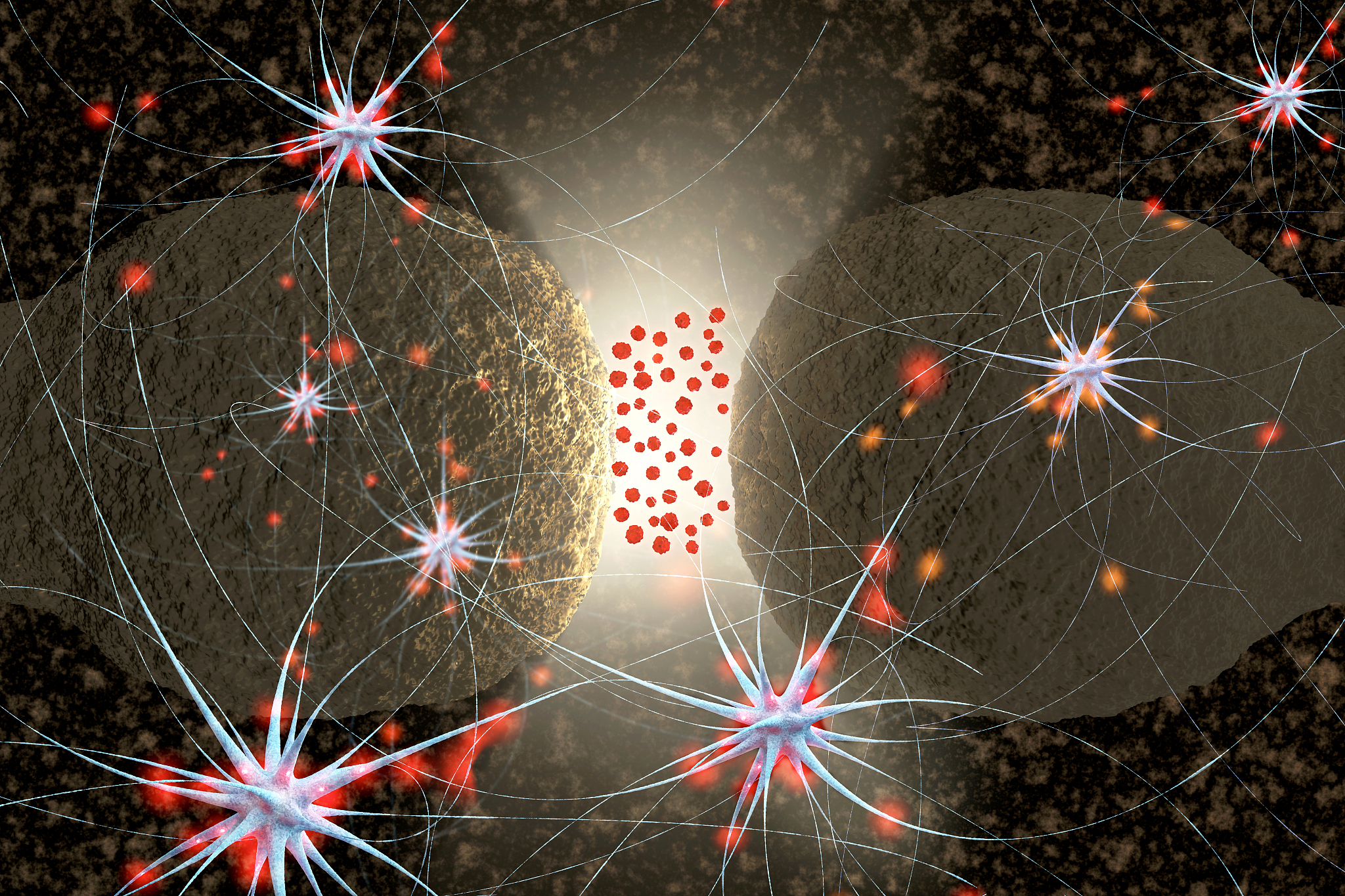 那些神经受体会影响性欲