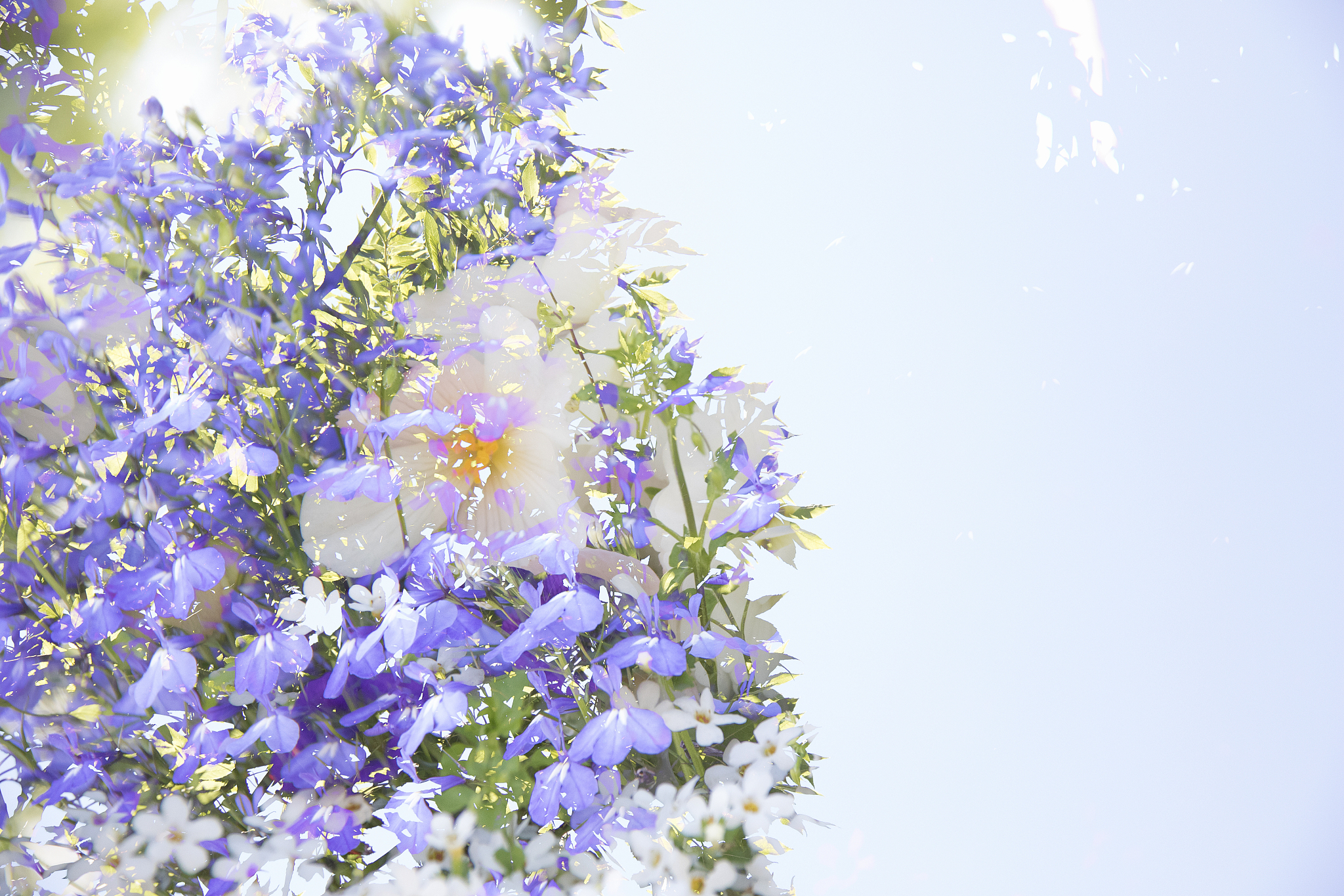 遵义重美职业技术学校学前教育专业教学质量如何