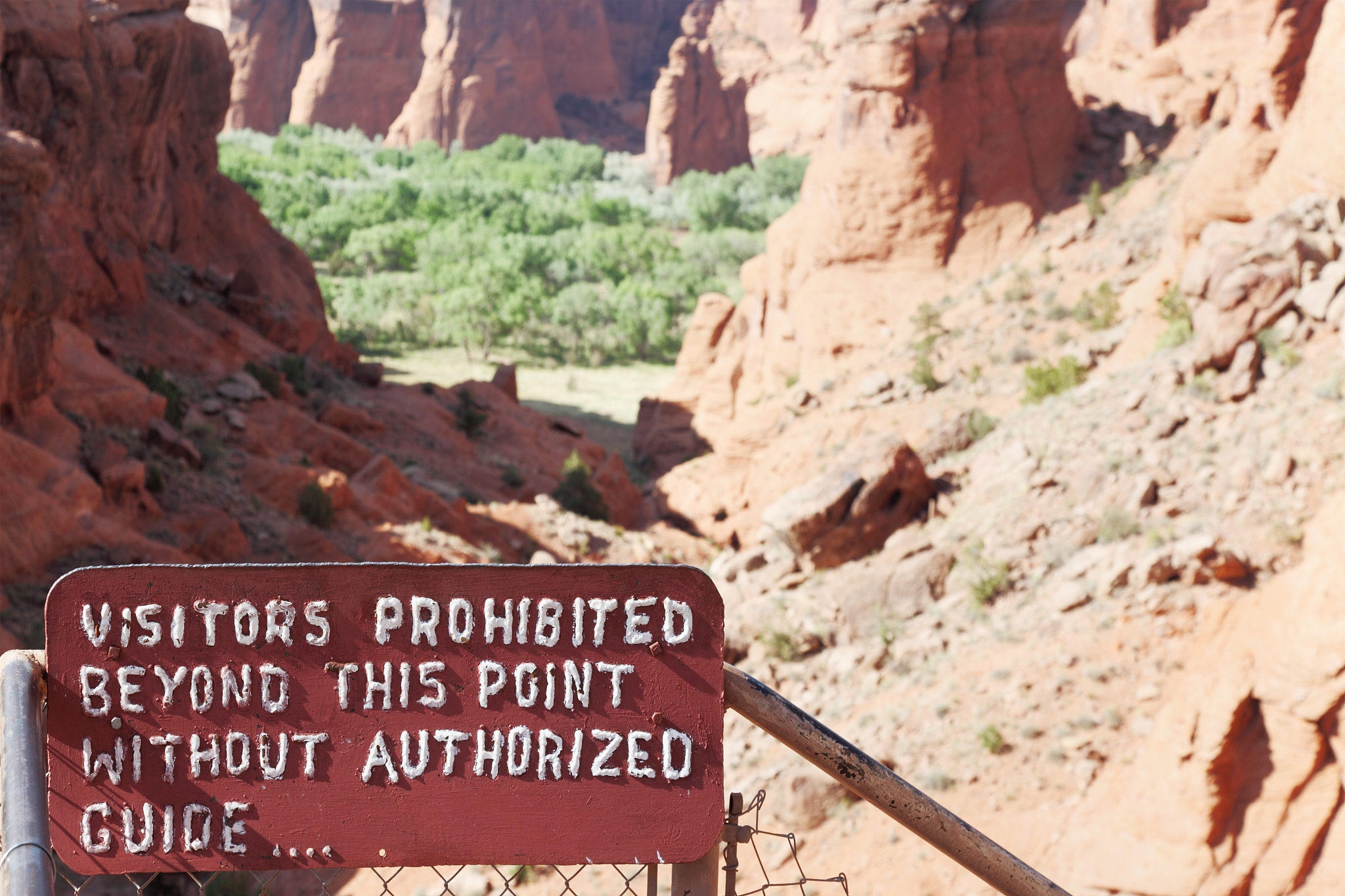 黄家驹逝世：Beyond主唱意外离世震惊华语乐坛