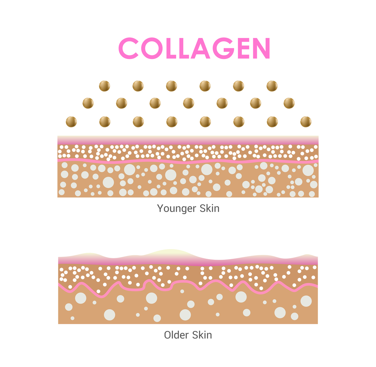 磷脂双分子层：保湿功效与皮肤护理
