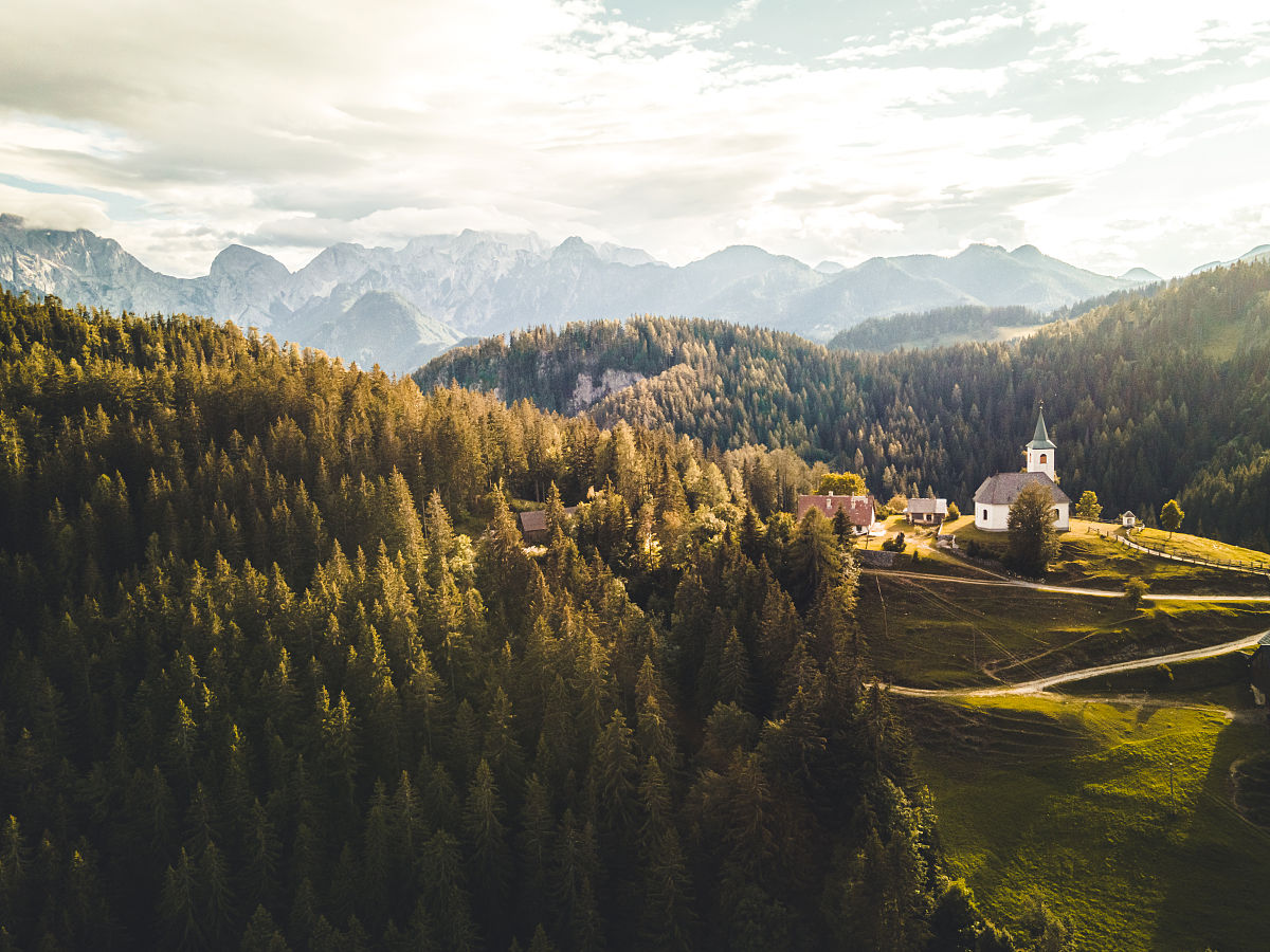 南宁南国乡村调研报告：现状、问题与建议