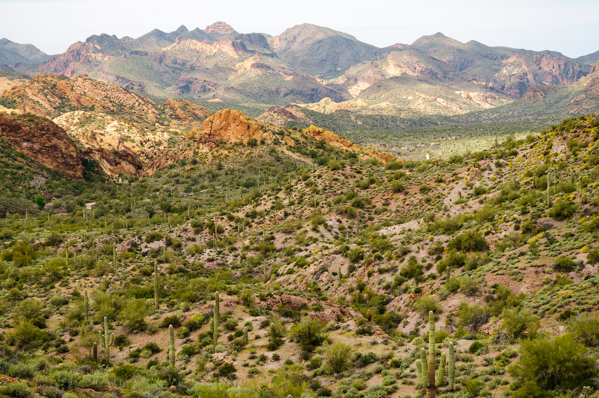 阿帕基小路,<strong>迷信</strong>山脉,tonto national forest,自然,美国,悬崖,水平