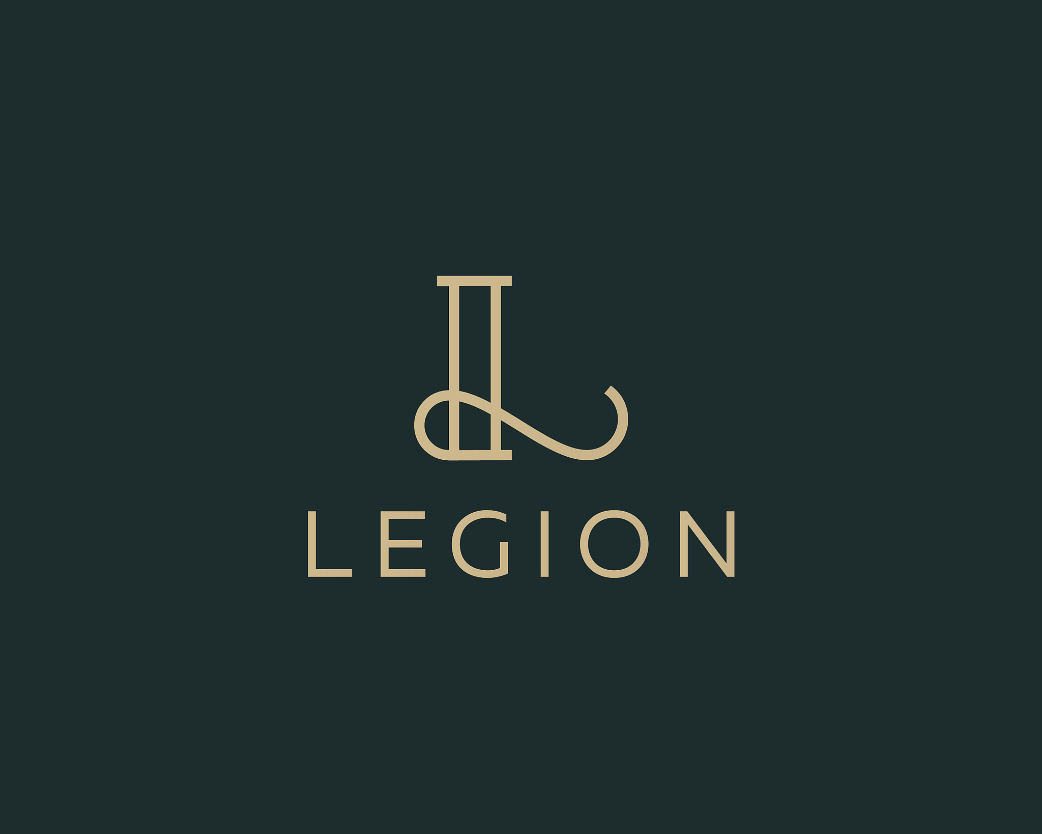 elegant line curve logotype premium letter