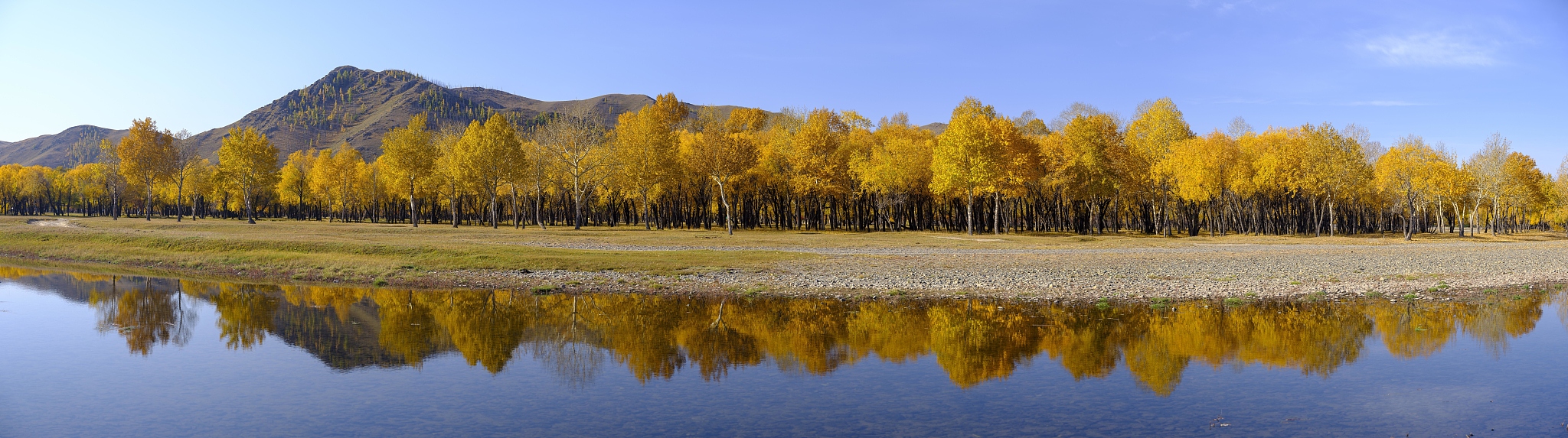 用歌曲《乌兰巴托的夜》曲子重新写一篇好听的歌词