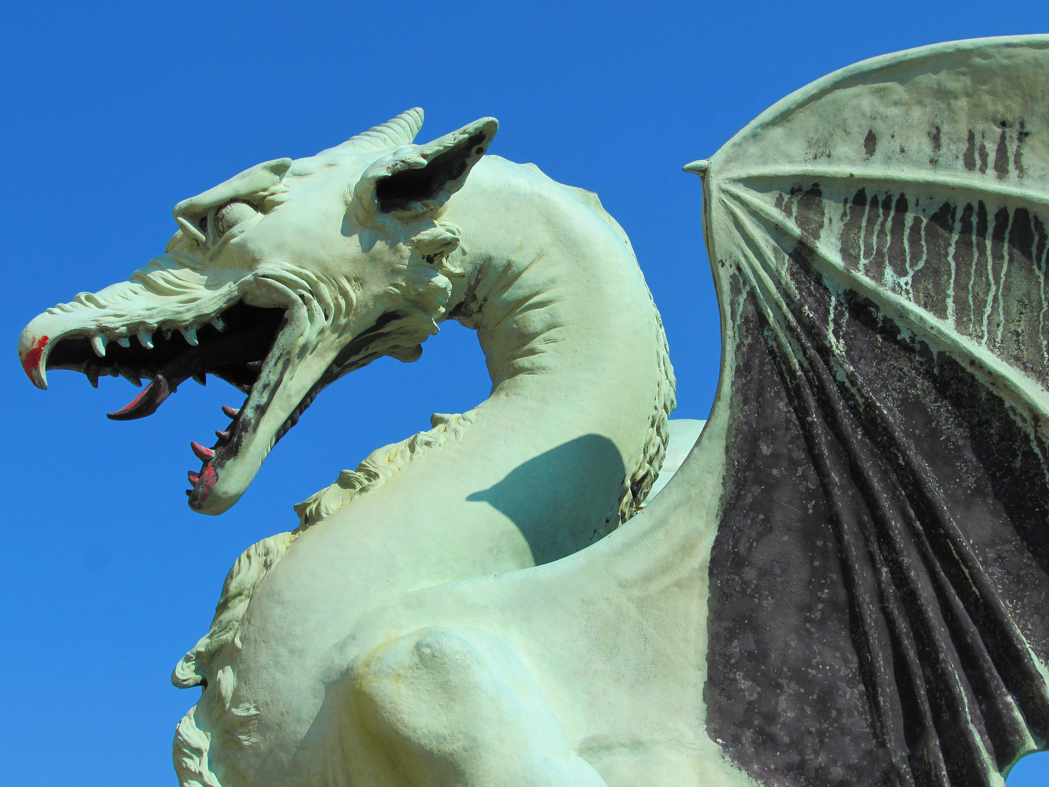 dragon