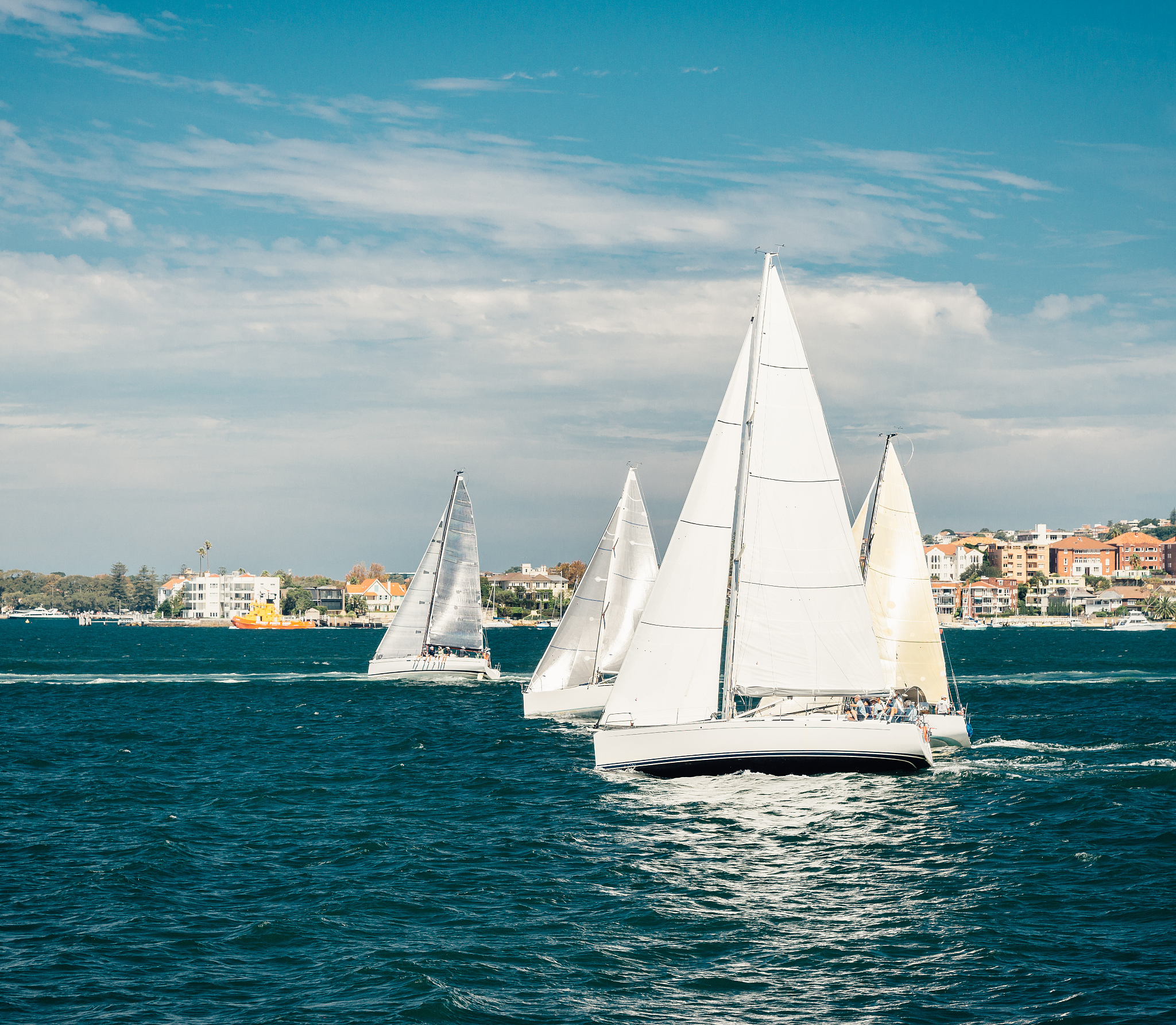 青岛西海岸航海职业学校就业安置：去向及待遇