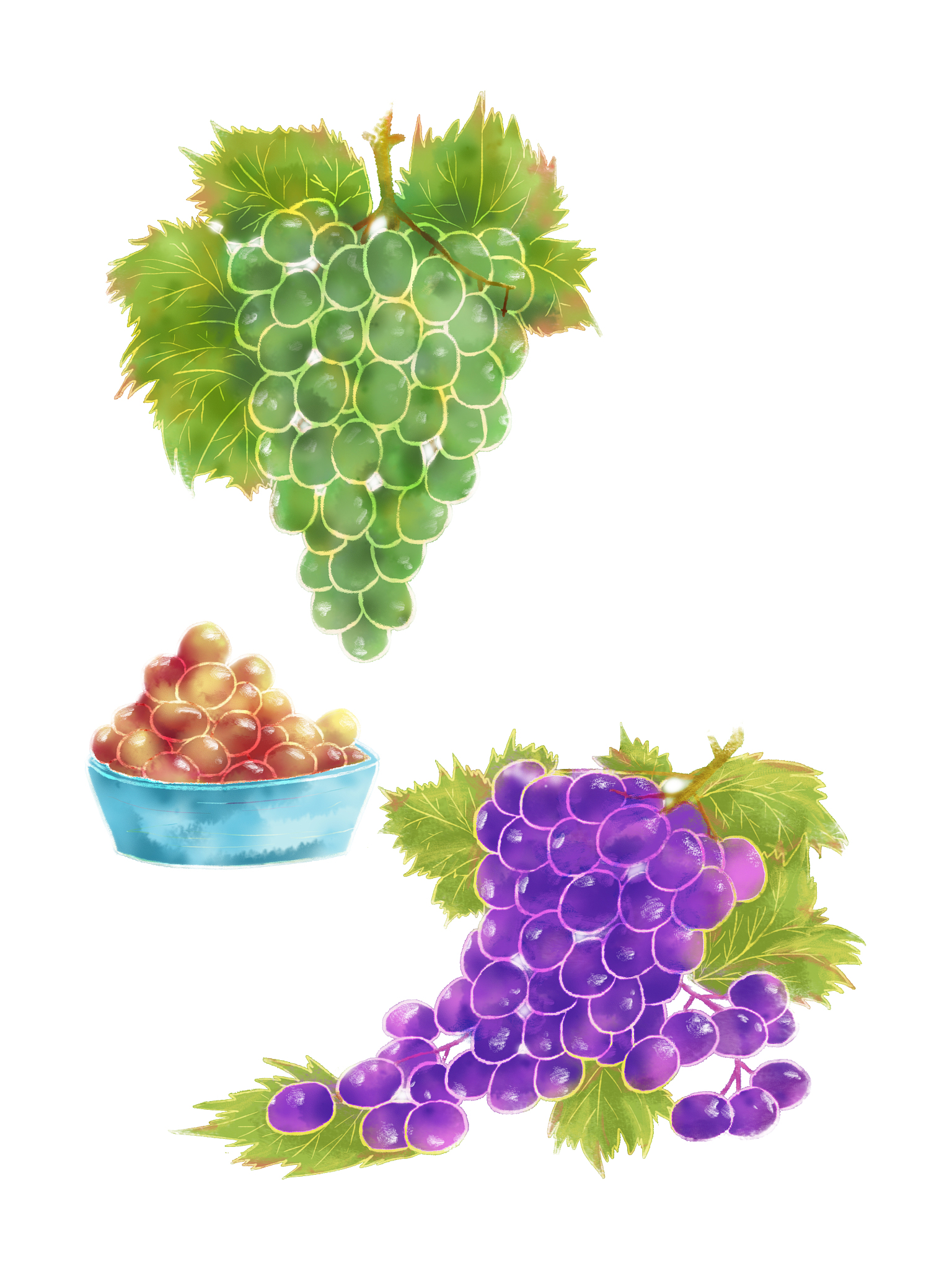 葡萄：美味佳果，营养丰富，口感独特，尽享味觉盛宴