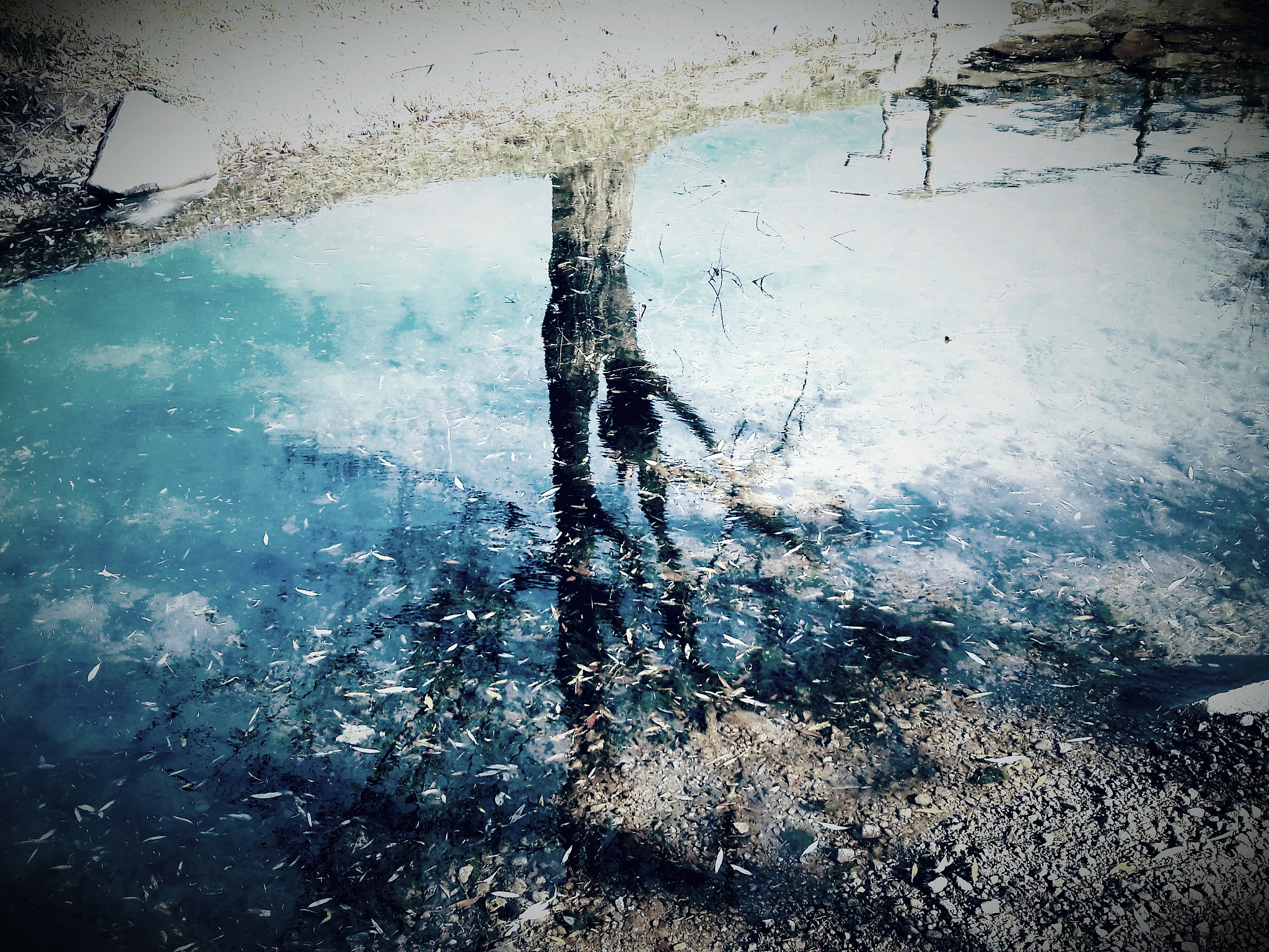 Oil Boom Installation Not Required Due to Effective Rainwater Management