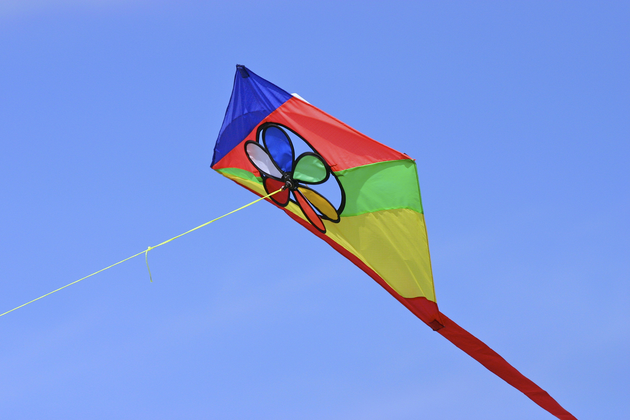 kite in the sky