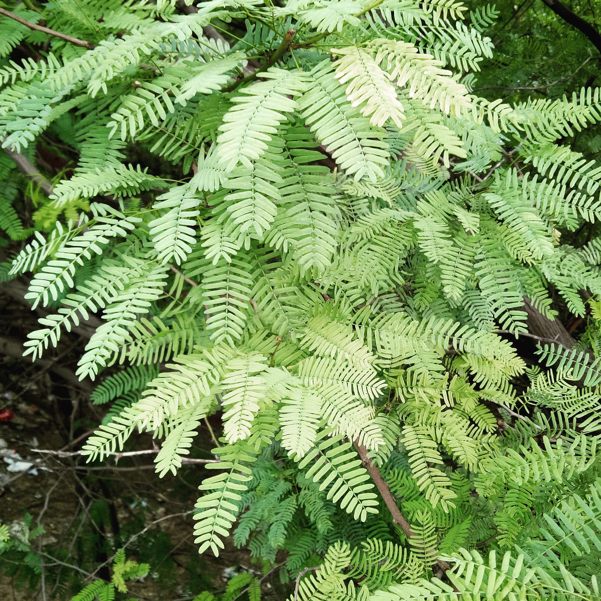 2023年重庆资源与环境保护职业学院单招简章 - 培养环保人才，共建绿色未来