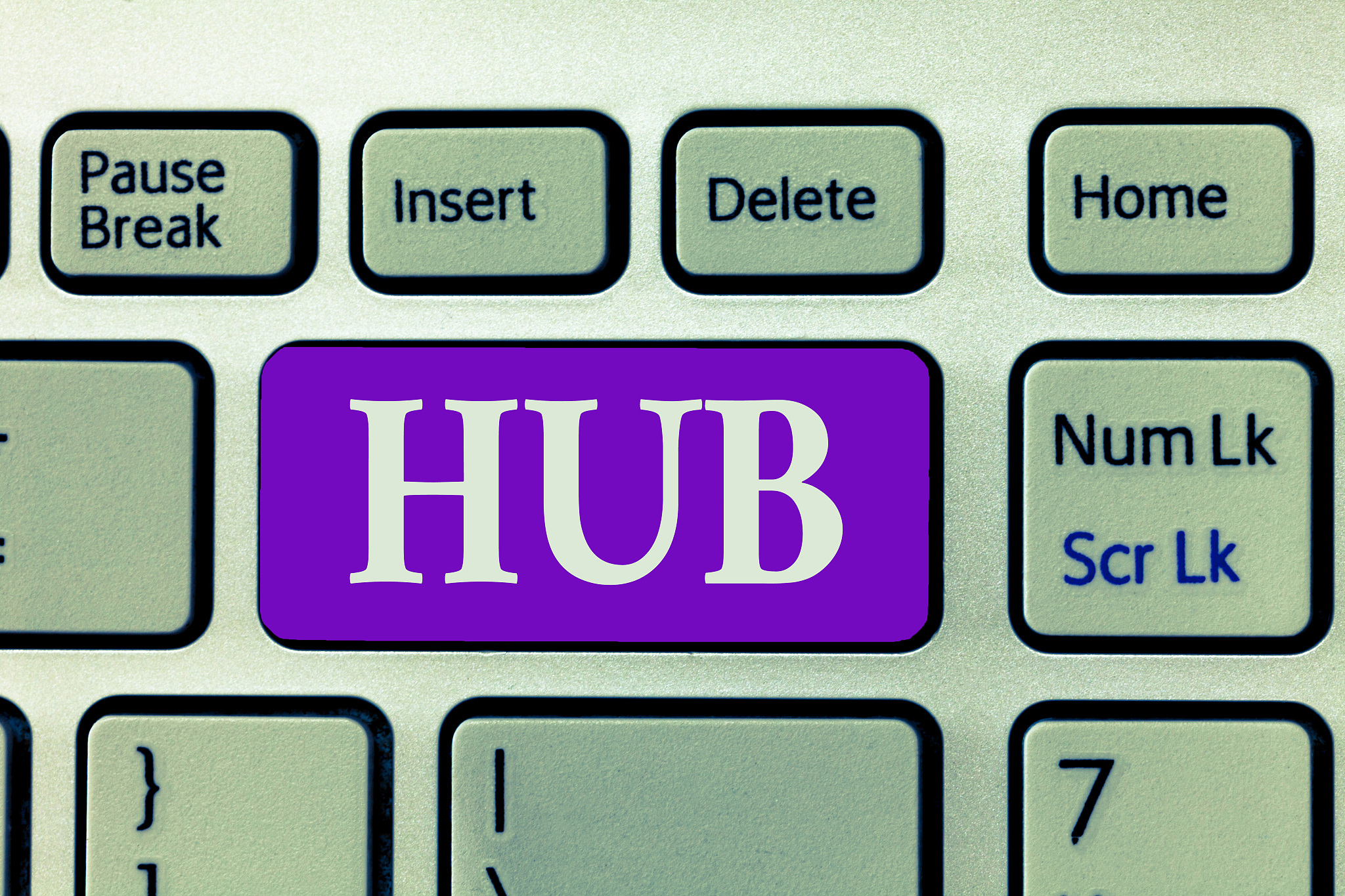 标本采集实习心得体会：提高技术、观察能力，提升工作效率