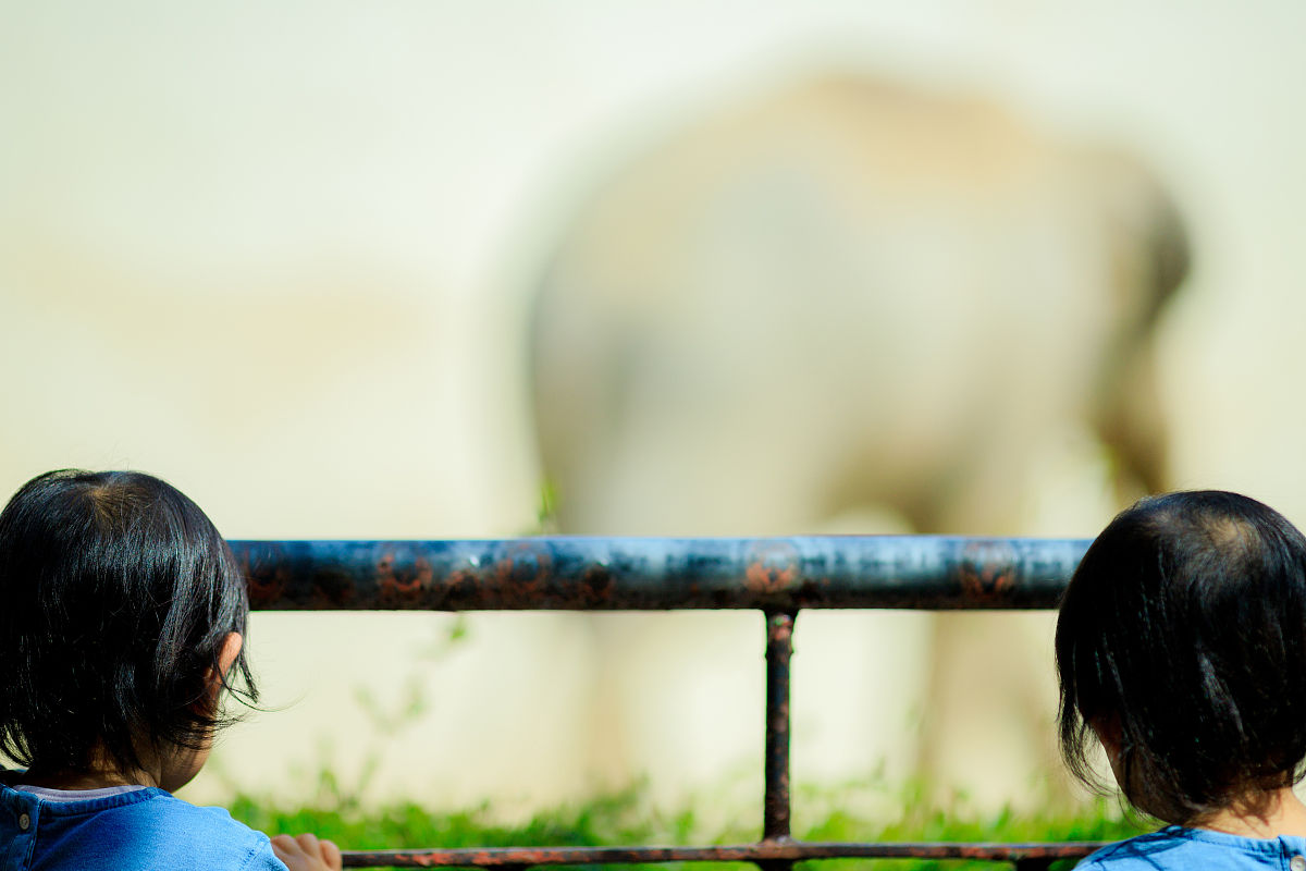 我想给女儿起名字两个女儿我姓李希望她们健康快乐