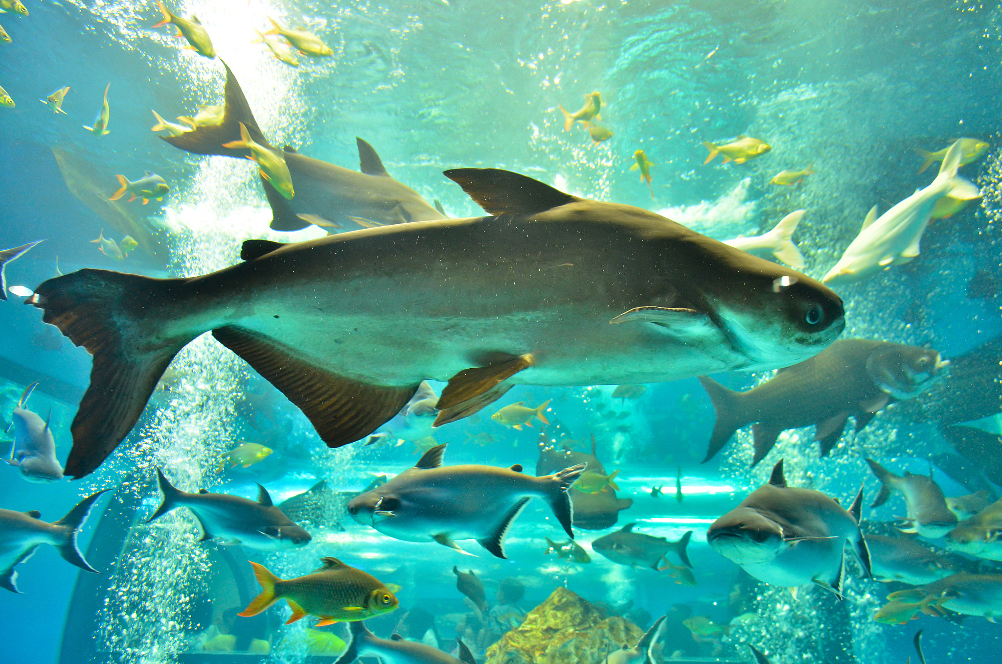 closeup of beautiful sea
