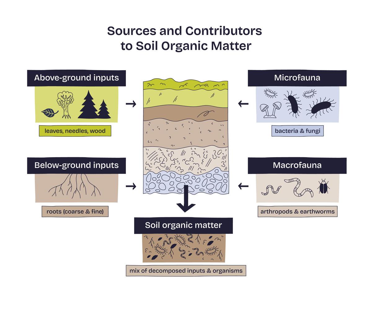 用科技论文语言缩写以下内容:Plants have established a myriad of metabolic and physiological mechanisms to combat these stresses over the long period of evolutionStress-related metabolic activities often result in a 用科技论文语言缩写以下内容:Plants have established a myriad of metabolic and physiological mechanisms to combat these stresses over the long period of evolutionStress-related metabolic activities often result in a