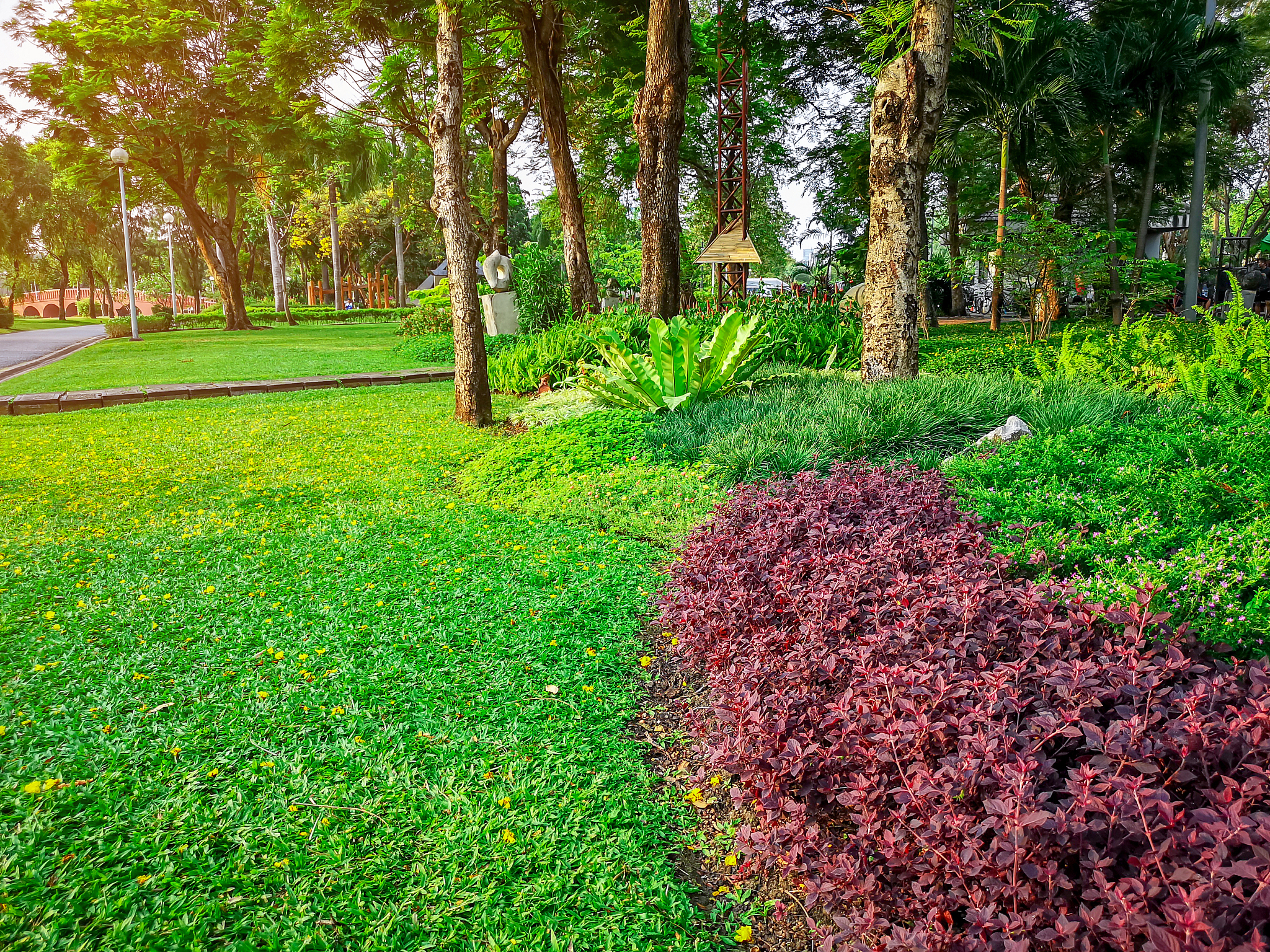 校园植物通透性提升方法：打造通风明亮的绿化环境