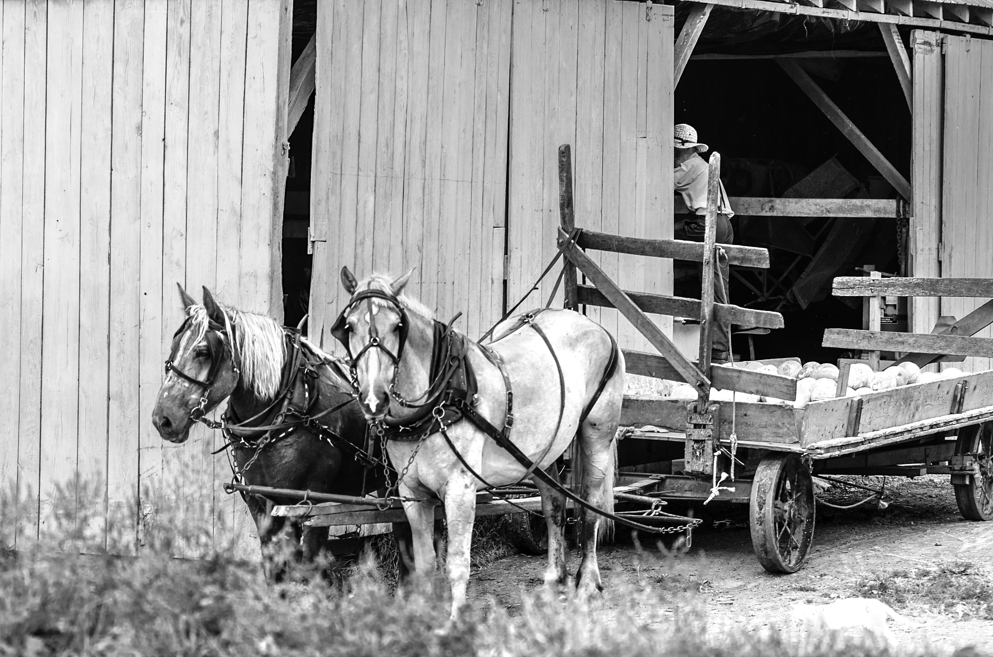 马车里低撞得承受不