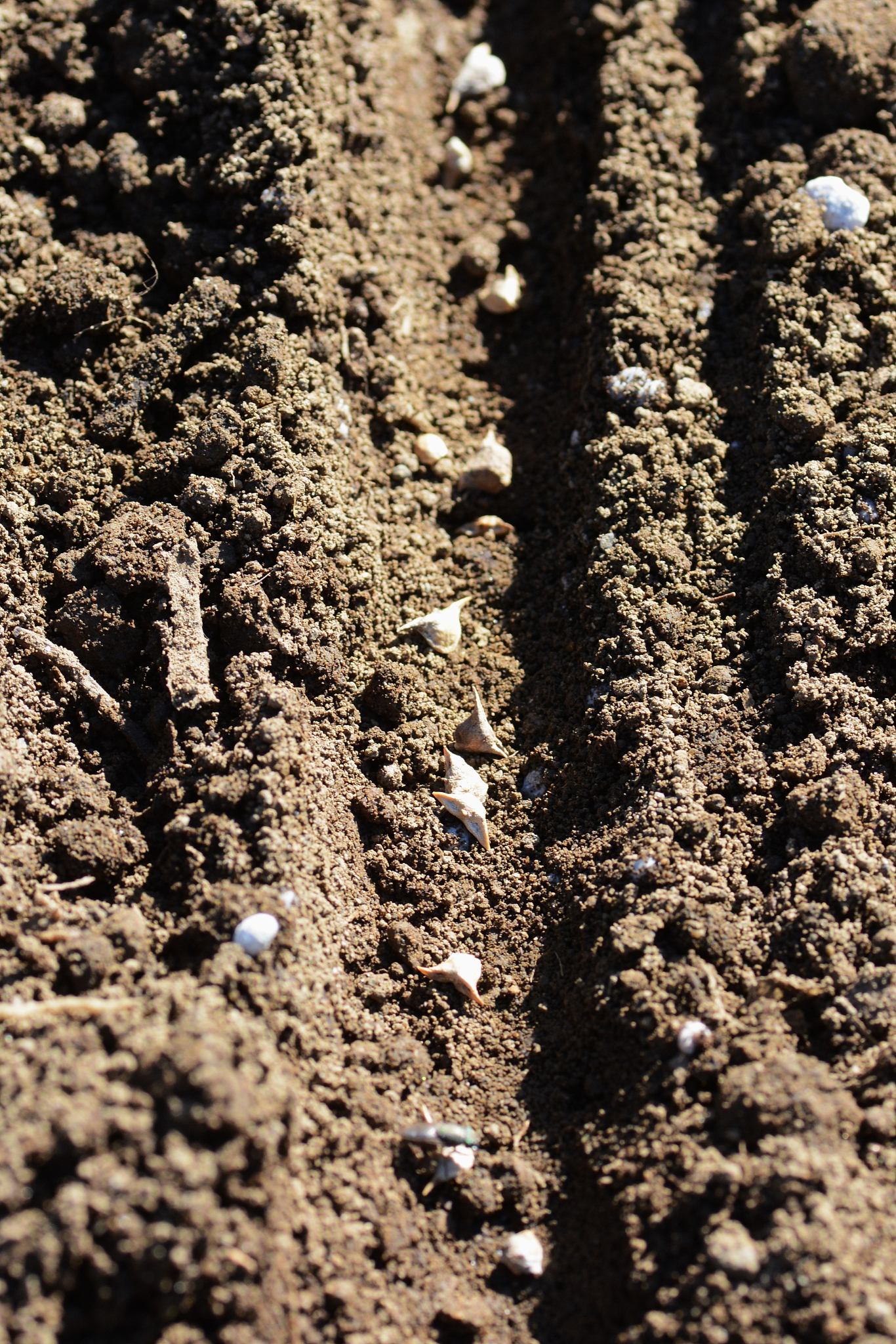 土壤水混合实验步骤：50克土壤与水的混合方法