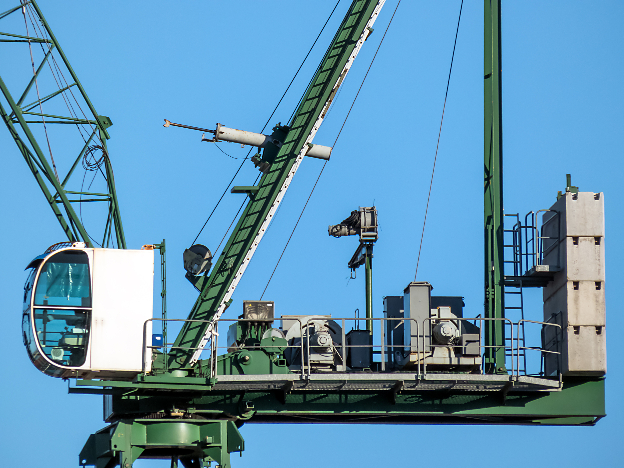 Crane: Bird, Machinery, or Both?  Learn About This Versatile Term