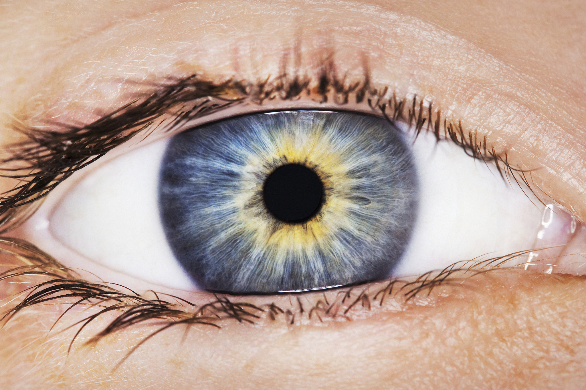 close-up of human eye