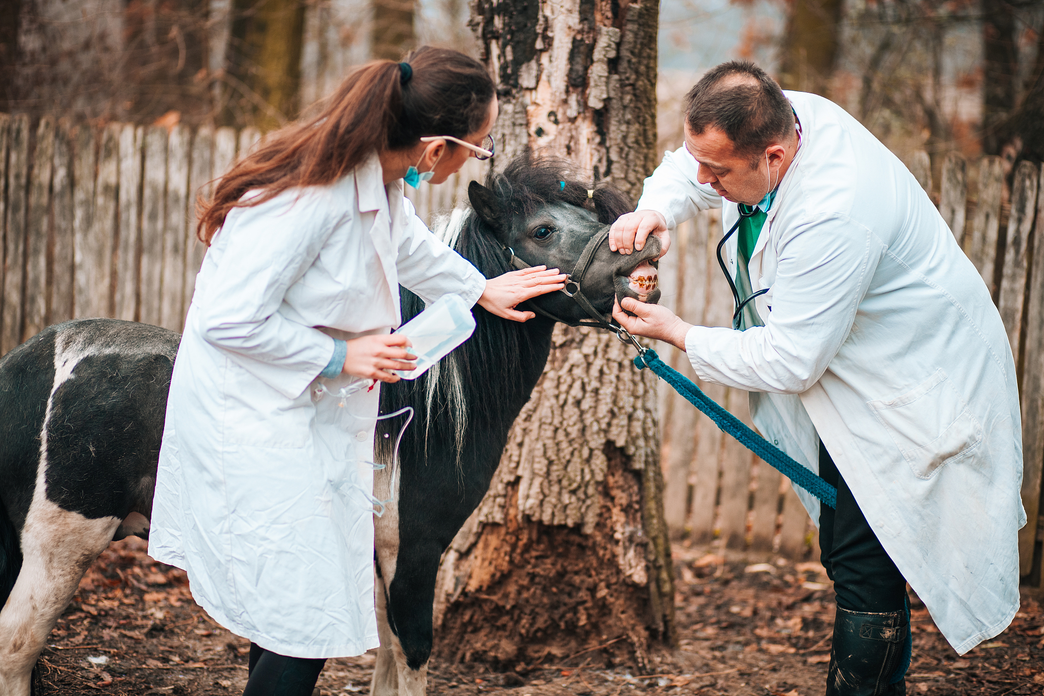 灵寿职业中学畜牧兽医专业怎么样