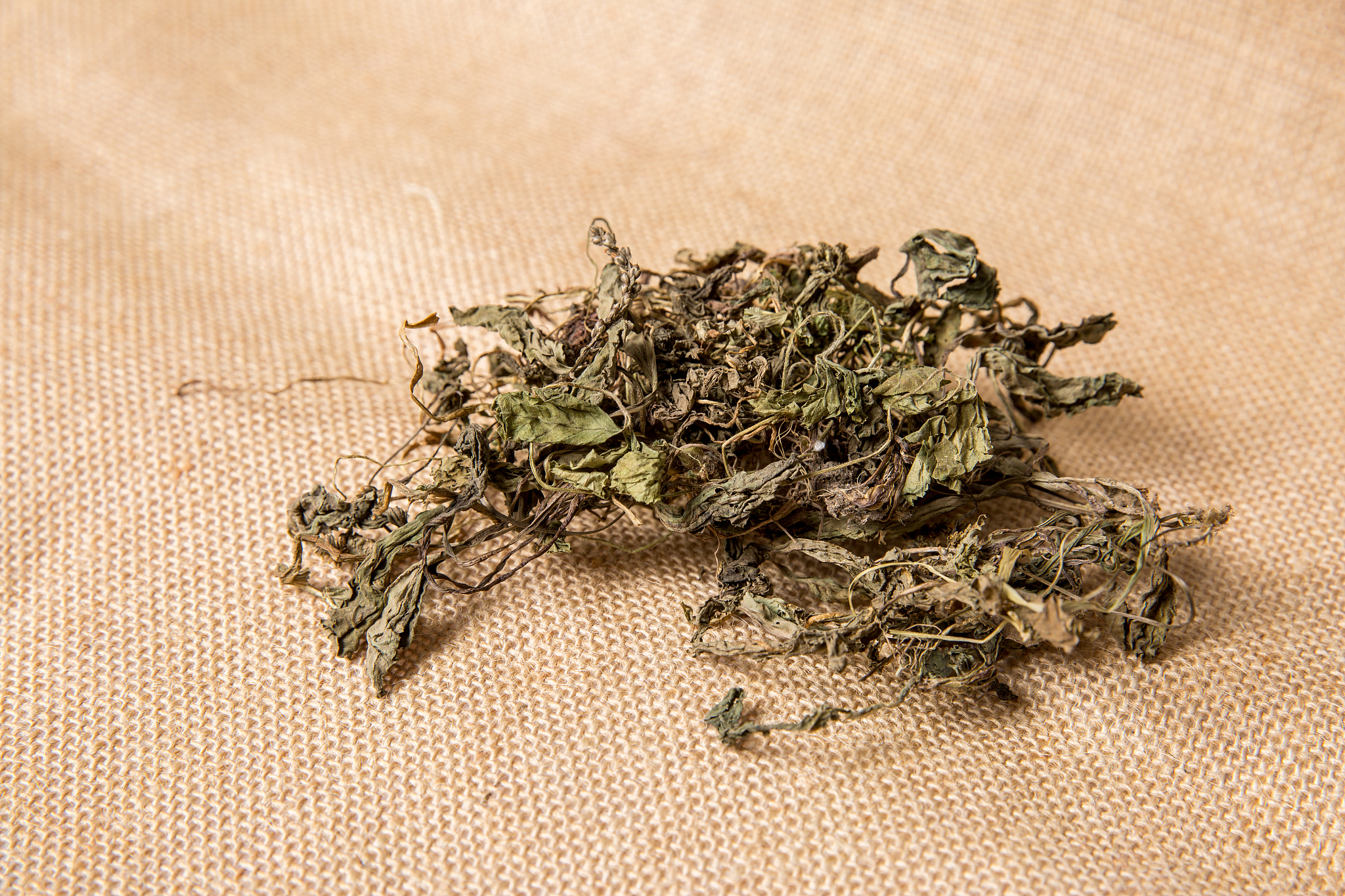 促进排便的小方法有哪些