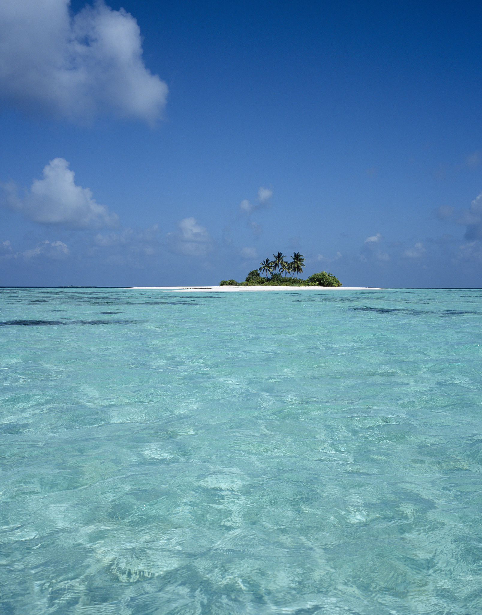 荒岛方舟生存手游更新日志 - 新增荒岛地图、生存系统、建造系统等