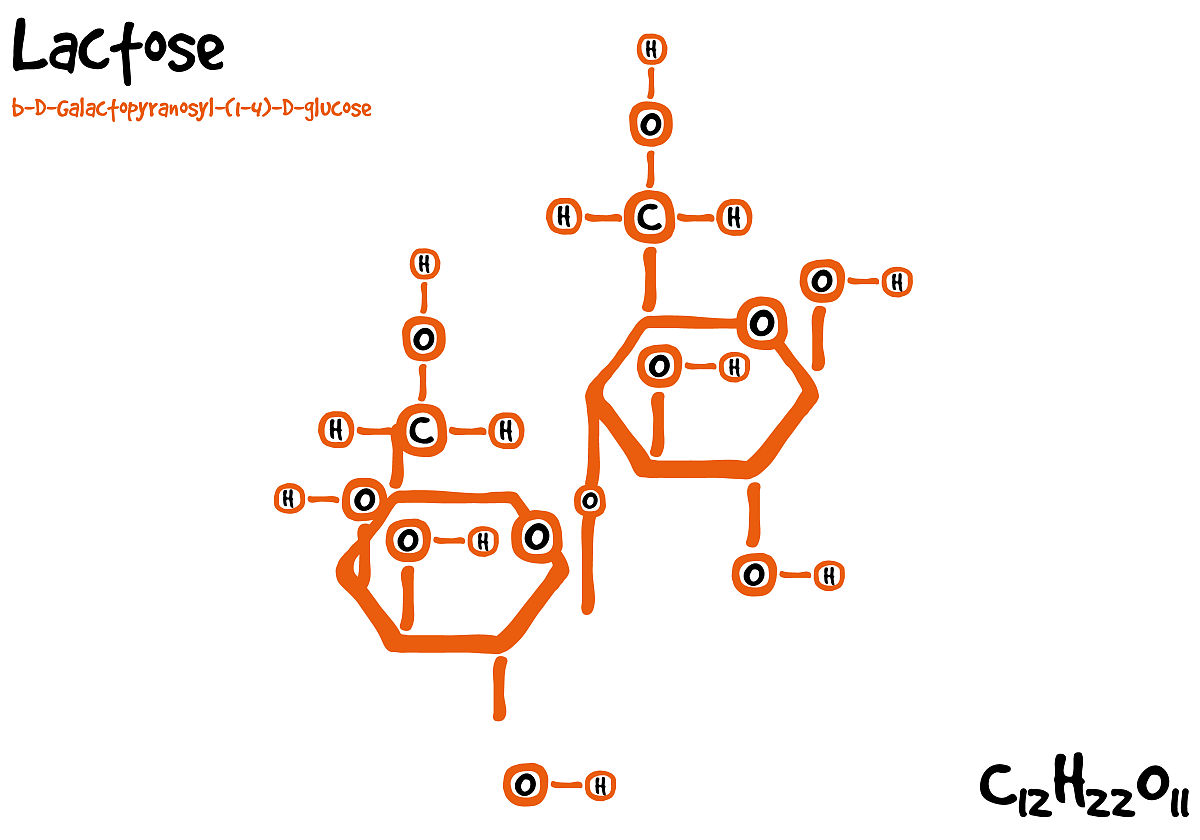 细菌中哪些底物可以为THF介导的一碳代谢提供甲基催化该反应的酶是什么？