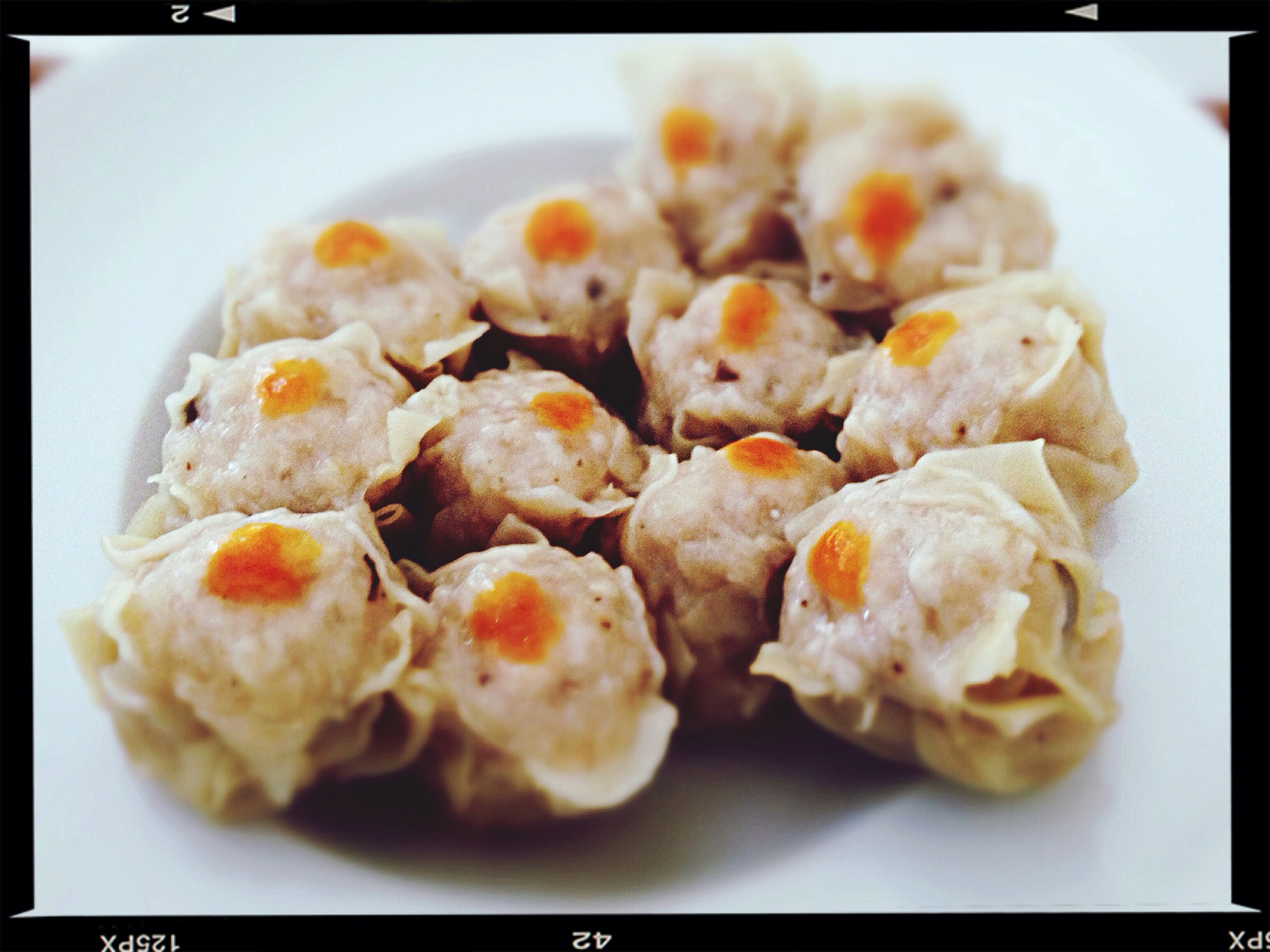 close-up of chinese dumplings on plate