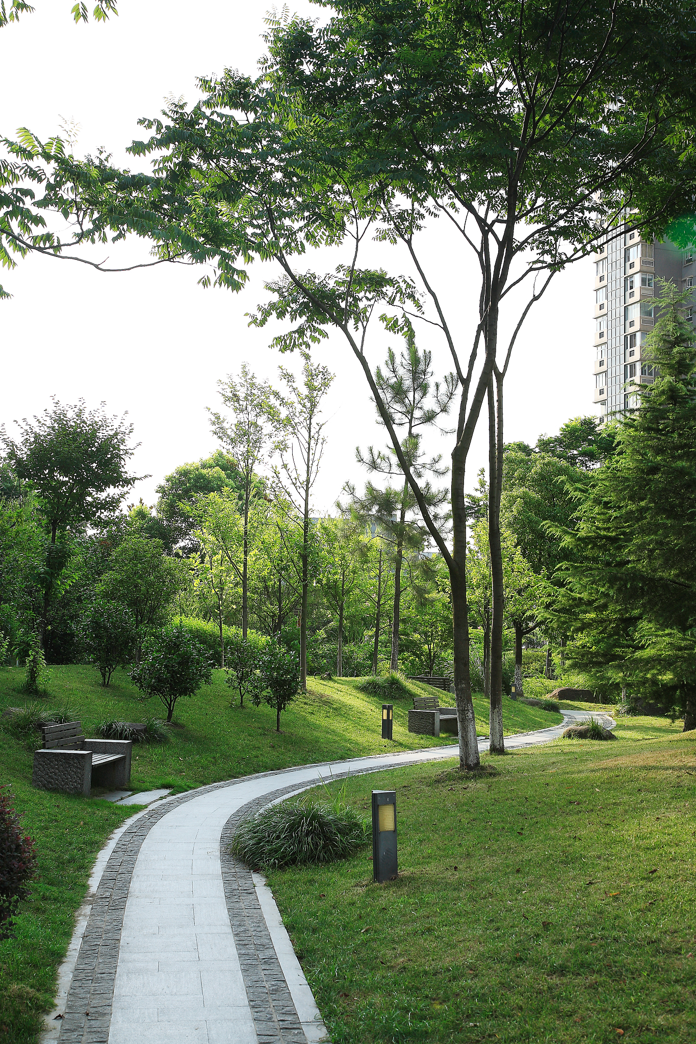 绿色园林 - 专业树木销售及园林服务商