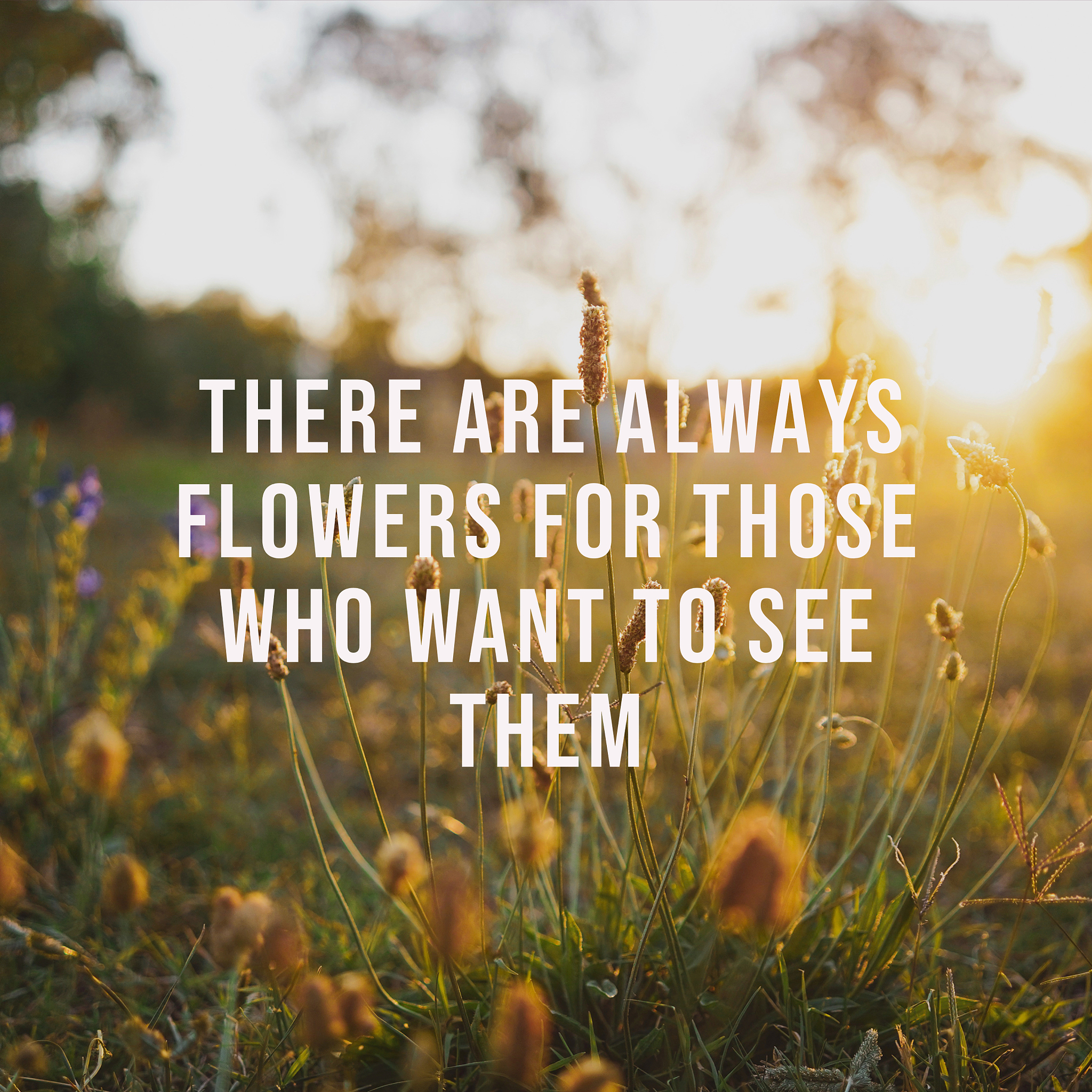 Morning Motivation: Gym, Sleep, and a Great Day Ahead!