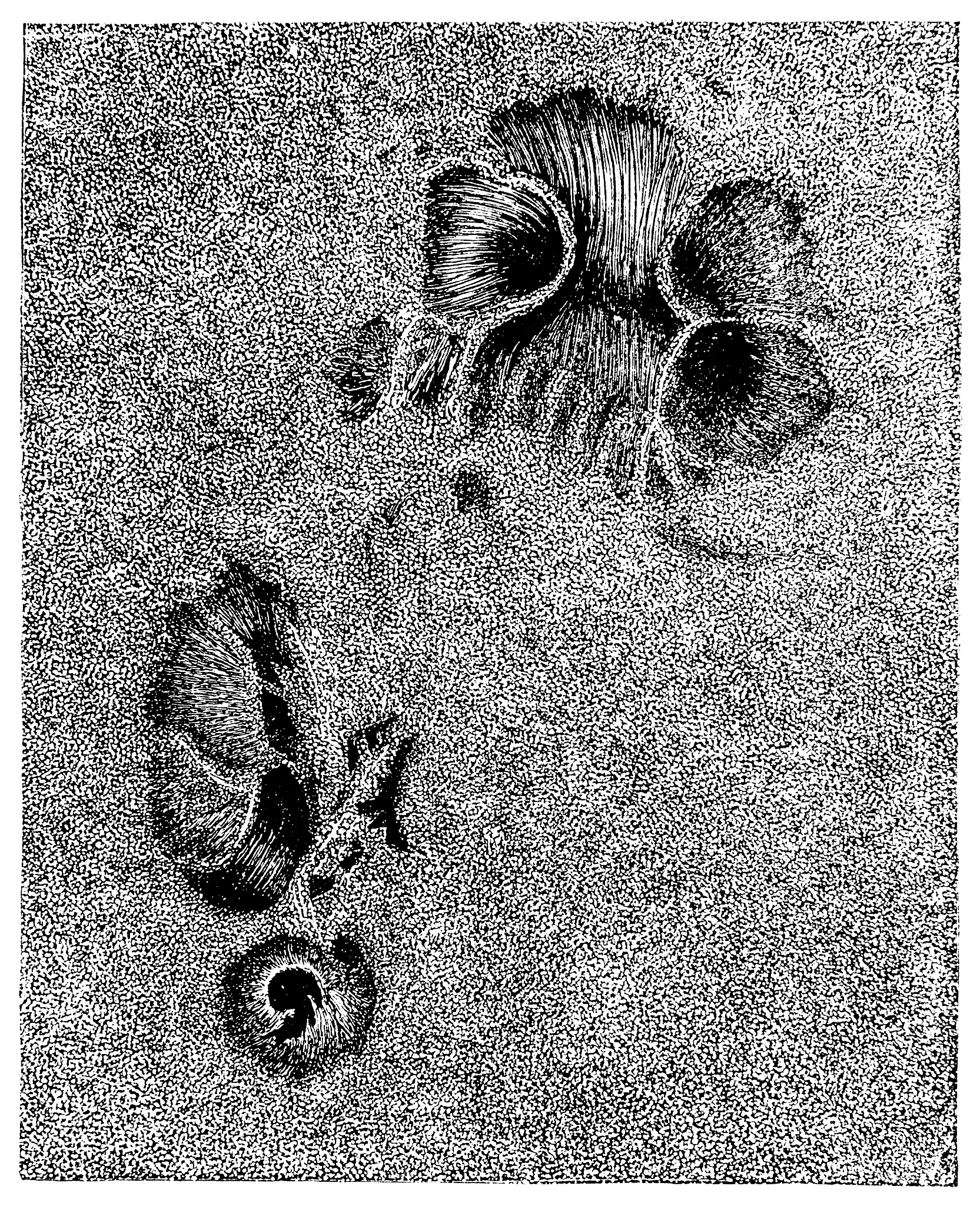 细粒度图像识别与检索：互补任务推动图像识别发展
