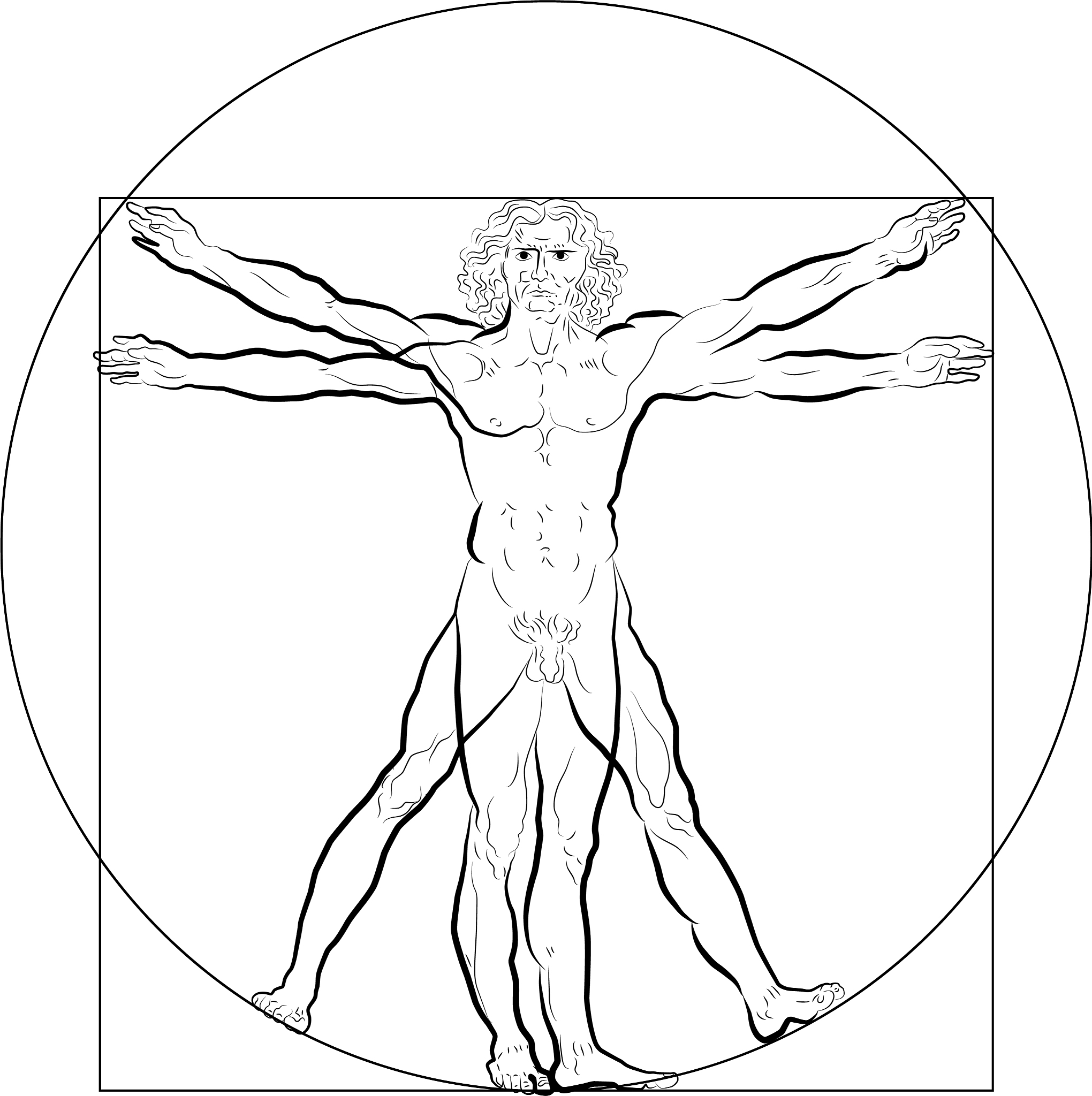 <strong>人属</strong>,维特鲁威人,生物学,名声,比例,技术,自然美,几何学,复兴时期风格