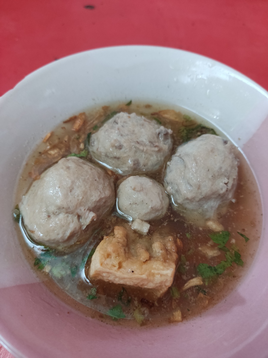 如何制作猪肉丸子