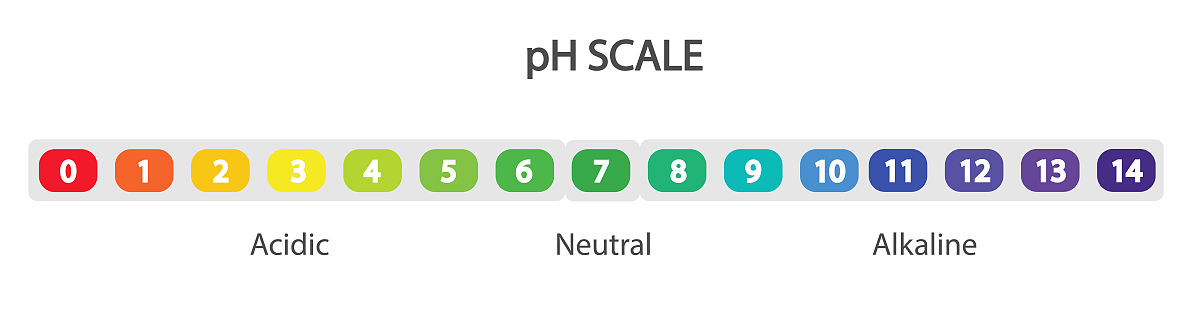 鸡血血红蛋白正常值范围是多少？