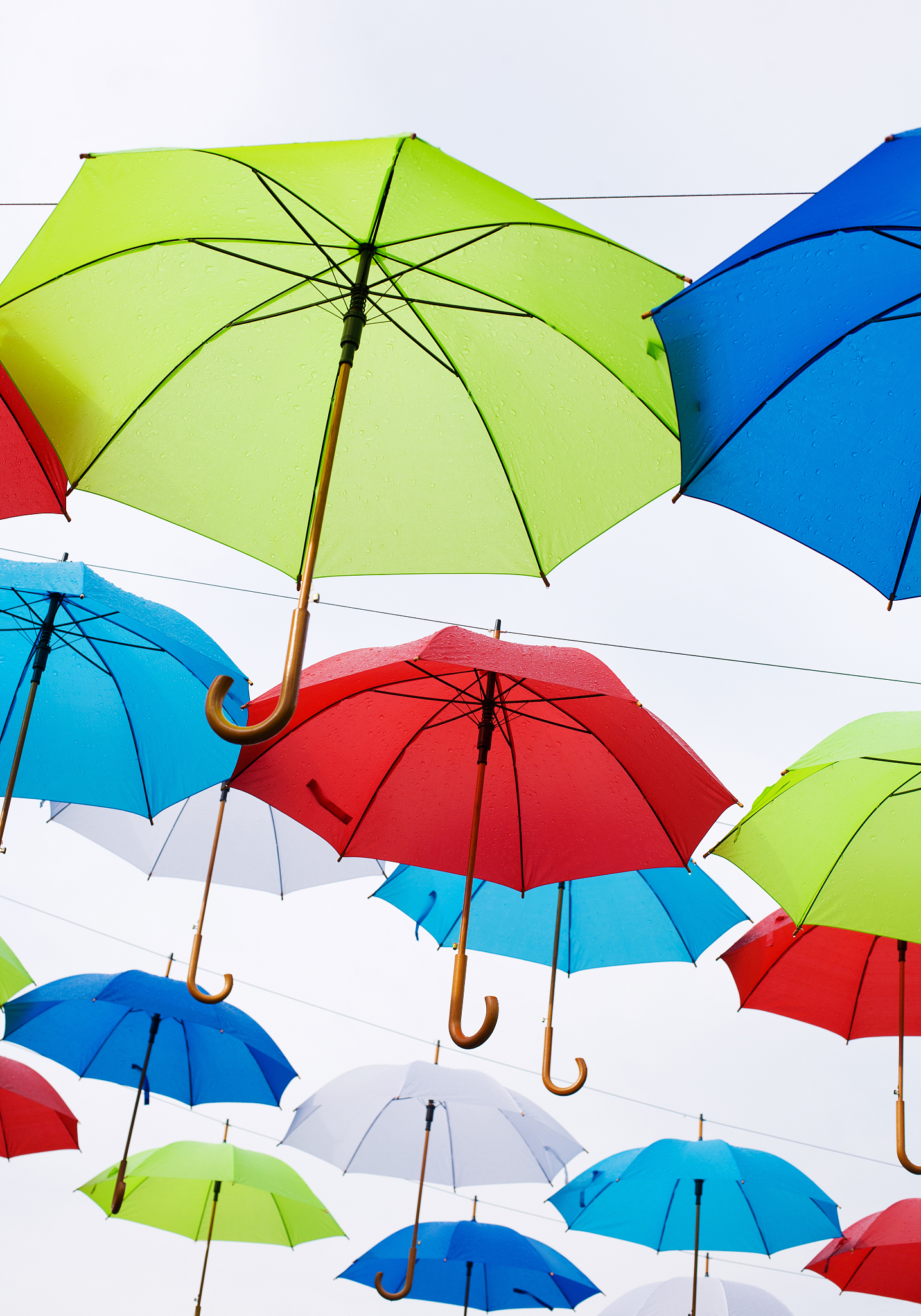 umbrellas in the sky