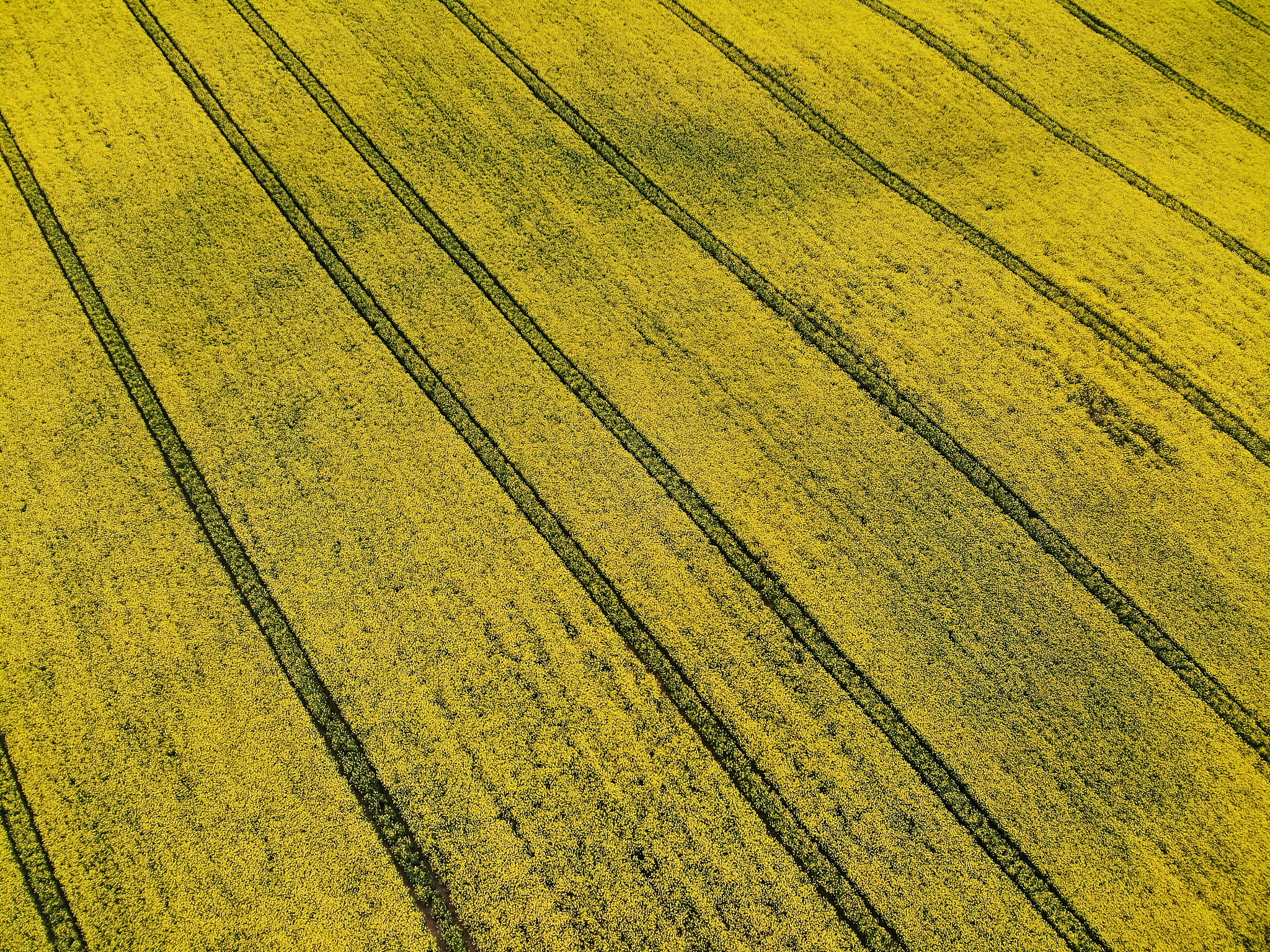 国有农场财务核算中心建立探讨：优势、难点与实施建议