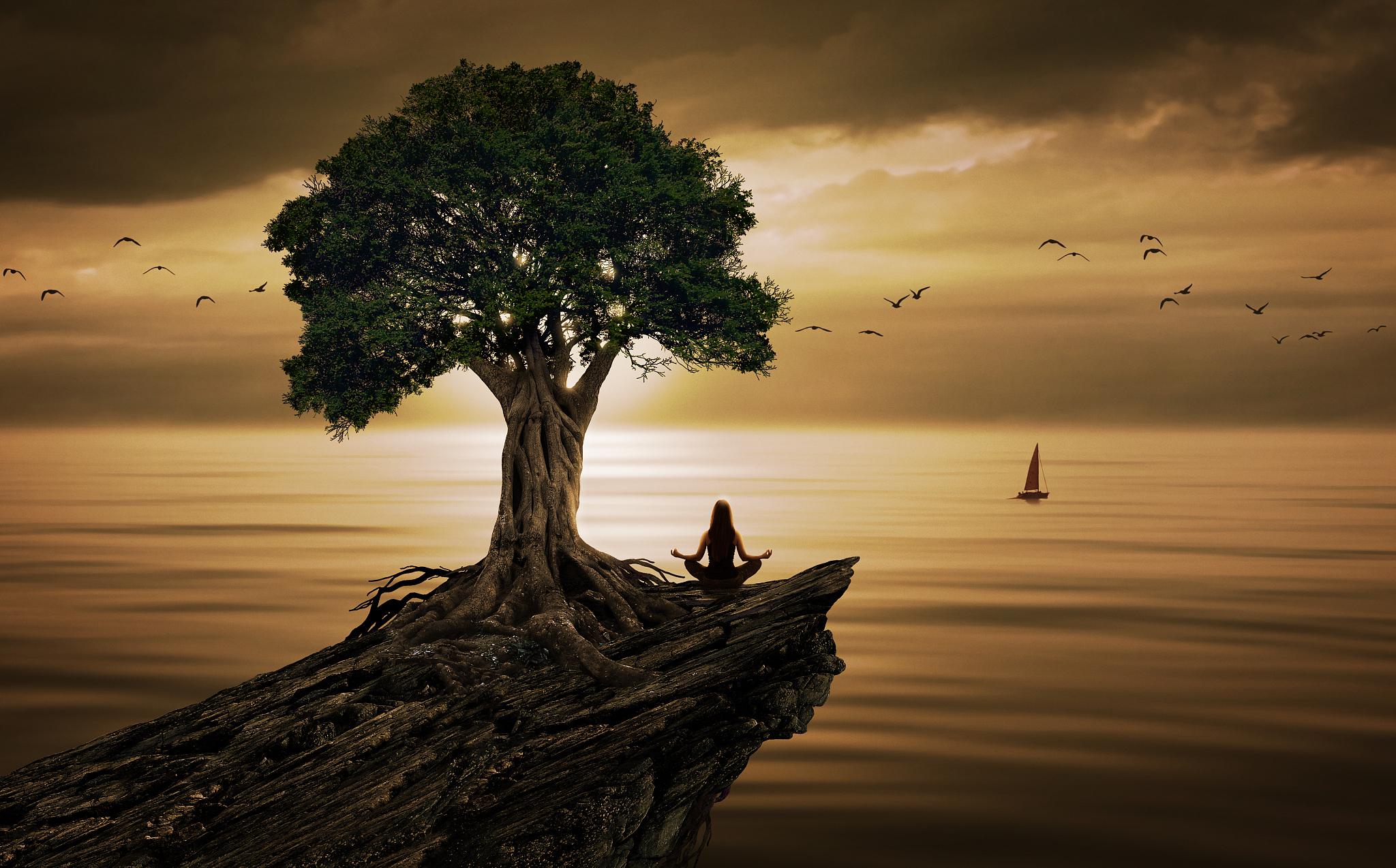 顺境与逆境：辩证看待人生矛盾，拥抱成长与平衡