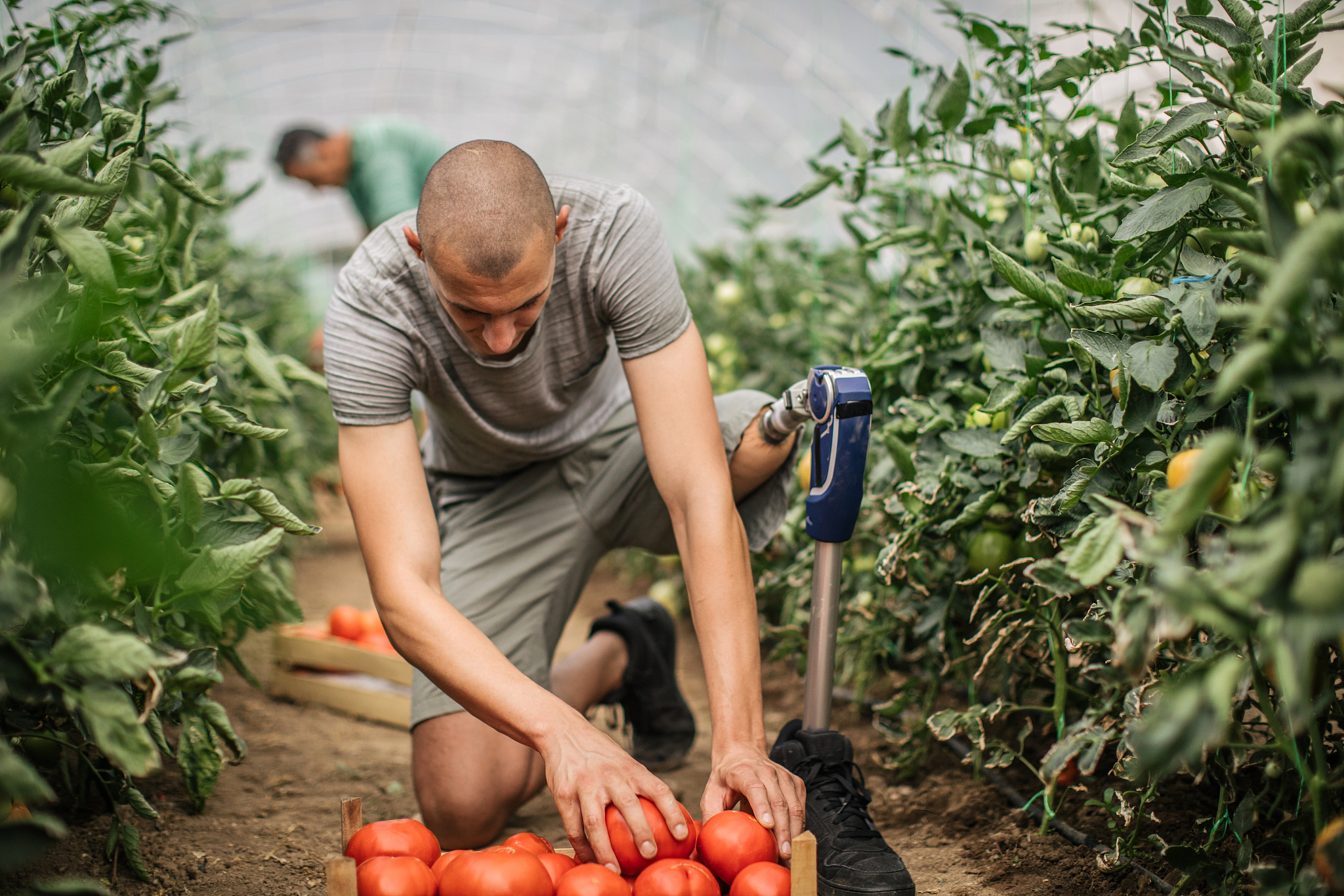 云南省曲靖农业学校2019年大专招生信息