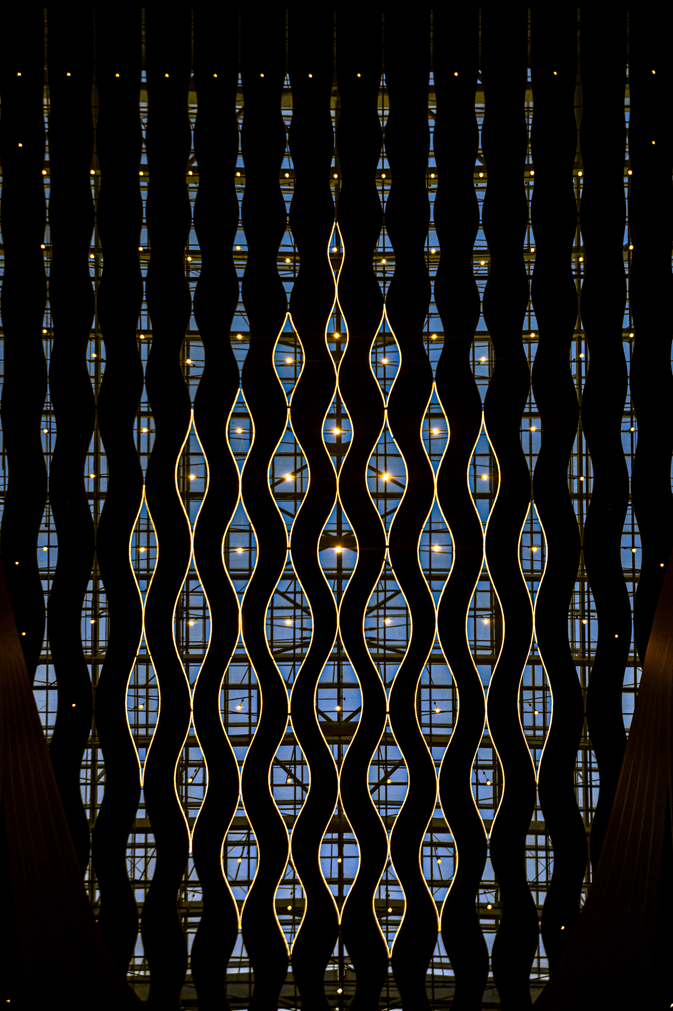 在科教兴国战略下新时代青年可以通过以下方式实现个人发展