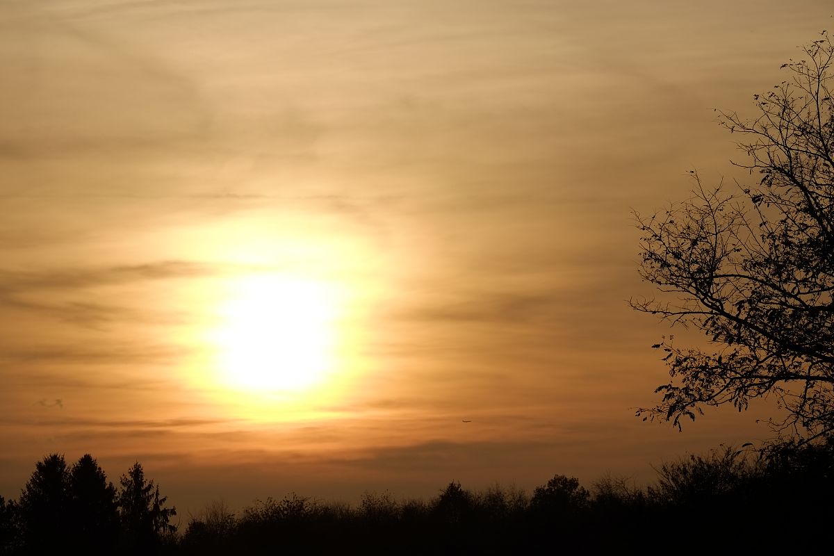 拟人化描绘天亮：感受黎明时分的奇妙与力量