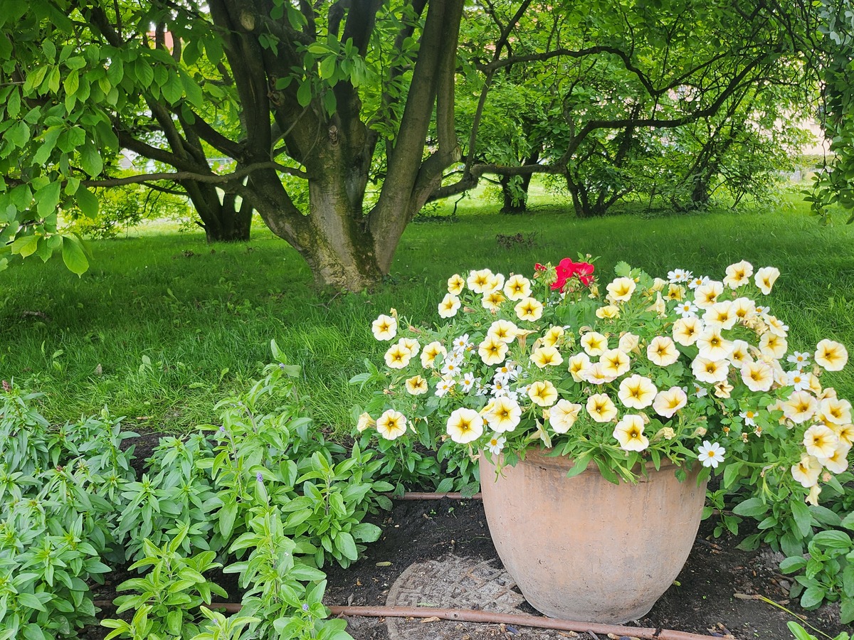 Gardeners Hub: Your Ultimate Gardening Resource - Tips, Tools, and Community