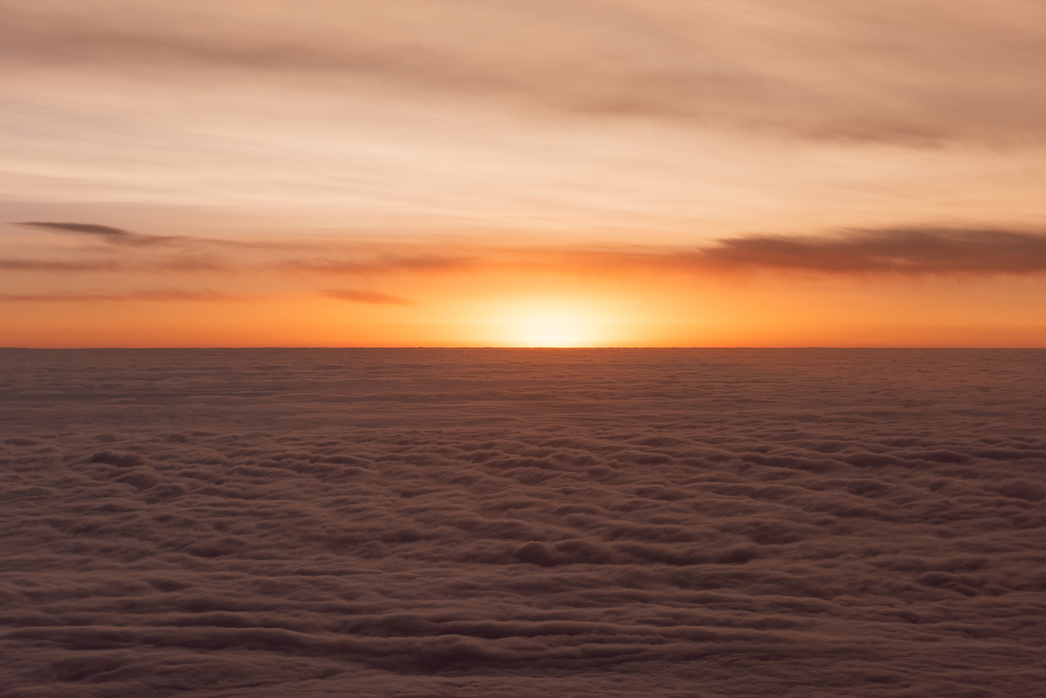 贵阳民航商务专业大专院校推荐：学府、专业和未来趋势