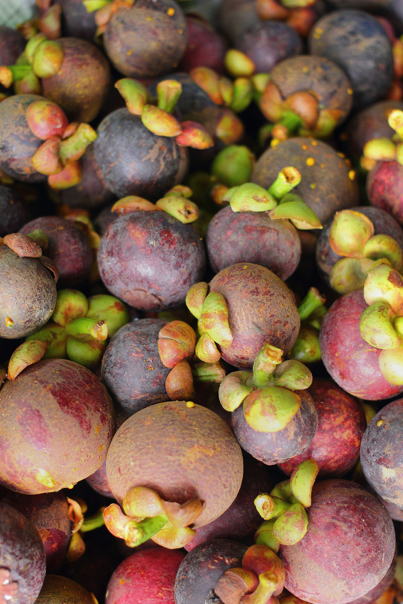 云南特有的水果