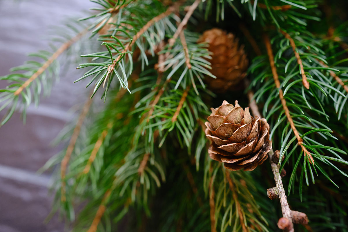 中考语文作文评分标准是怎么样的